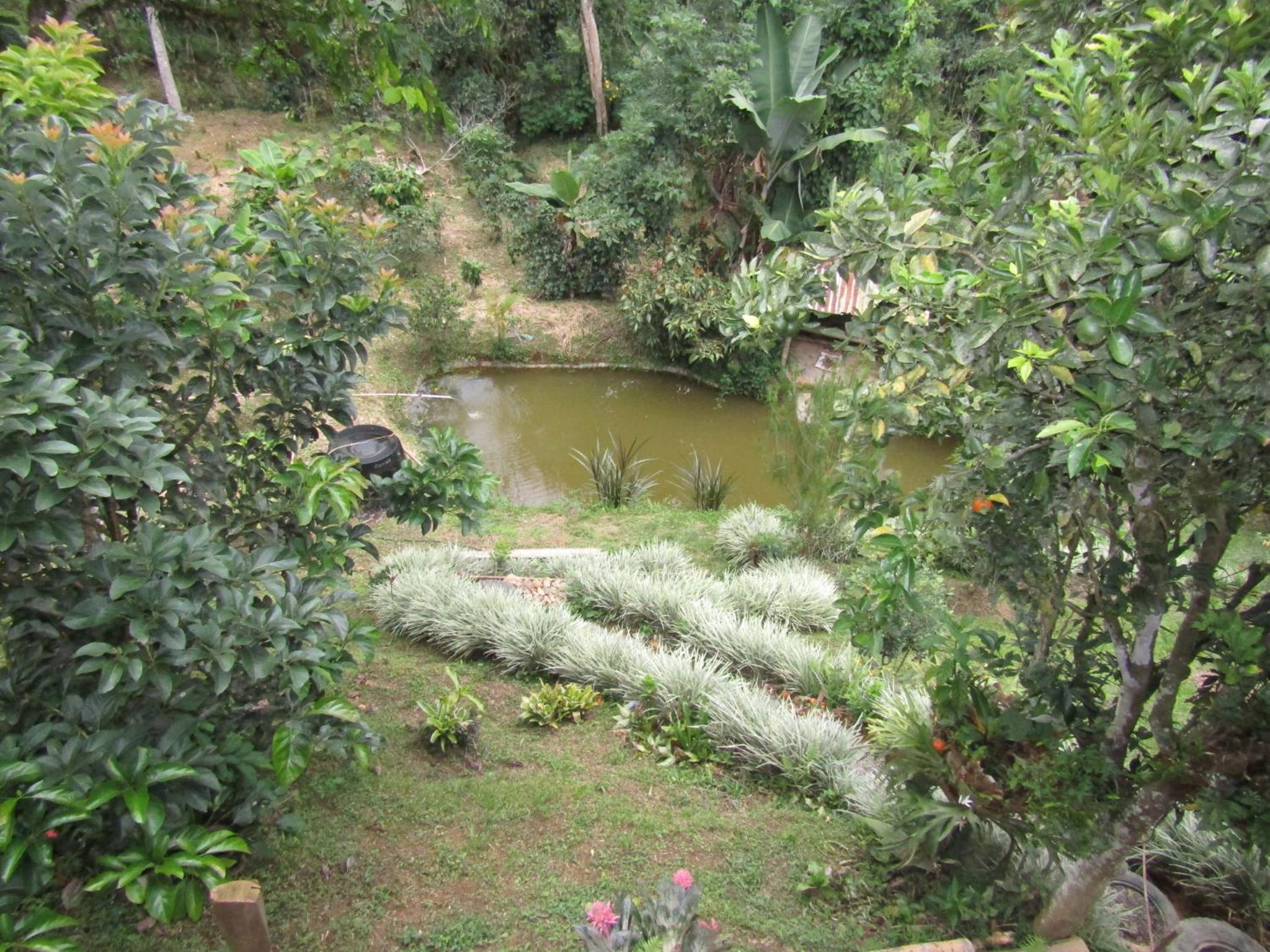 Alojamiento rural pájaros y flores