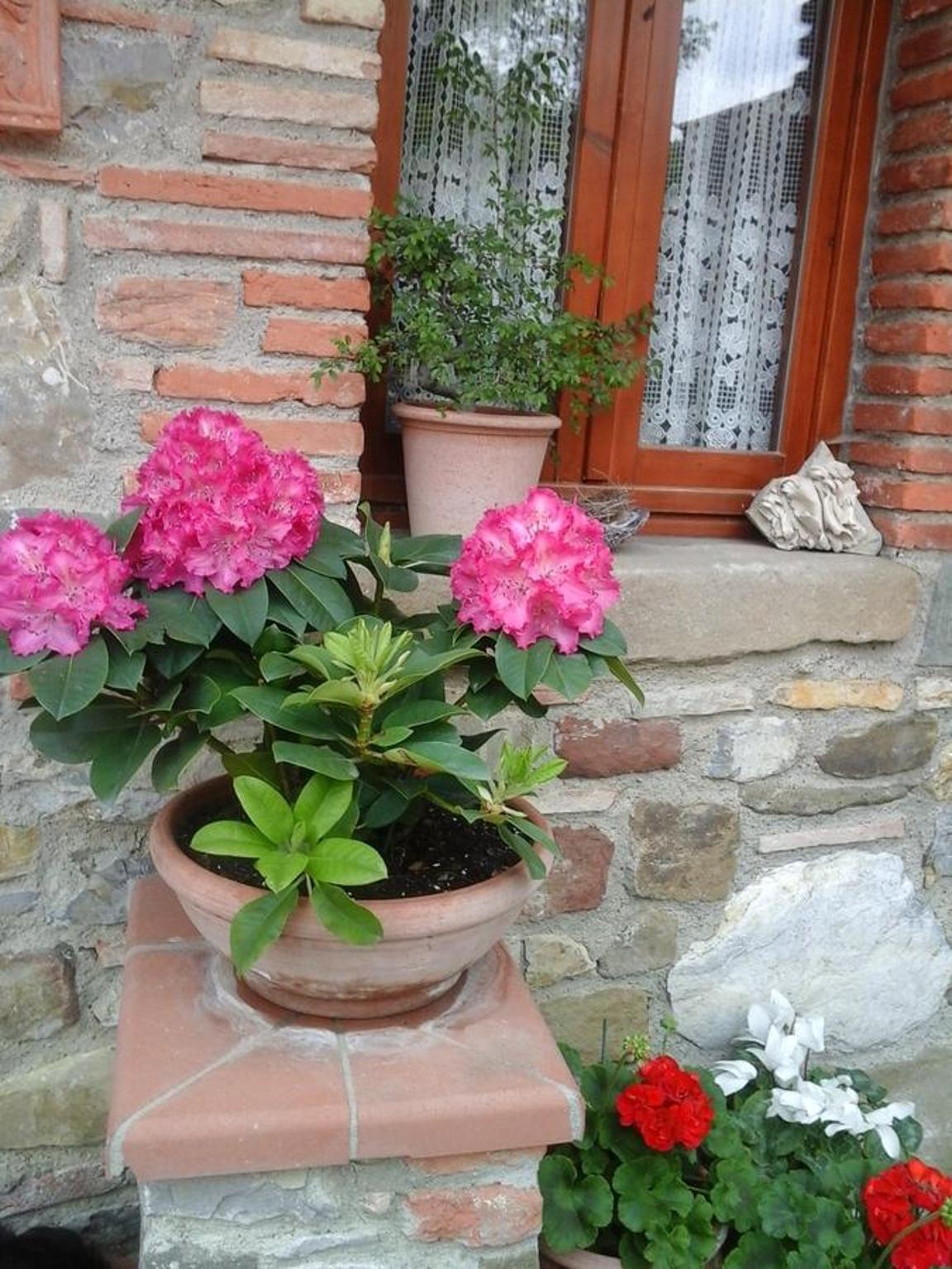 Photo 40