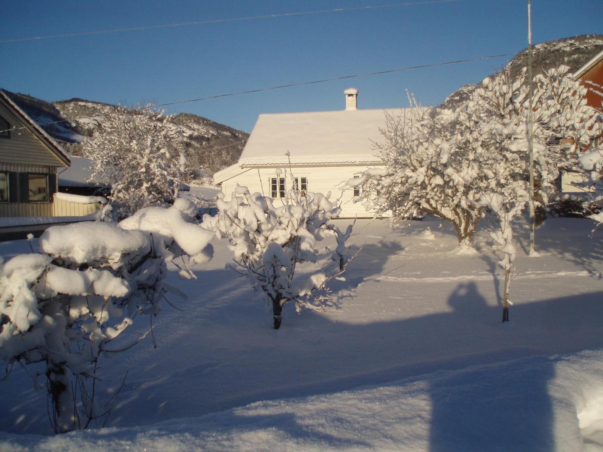 Photo 15