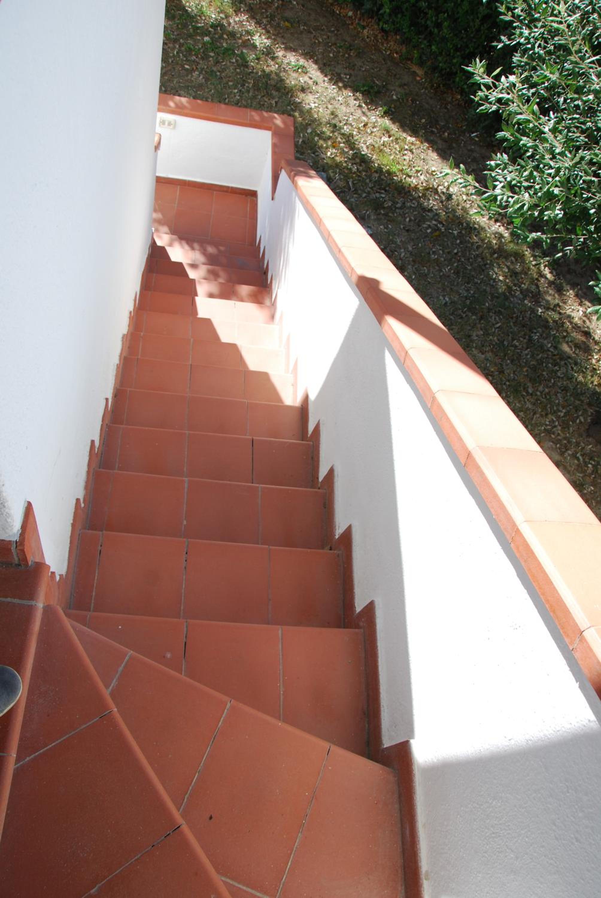 Photo 52