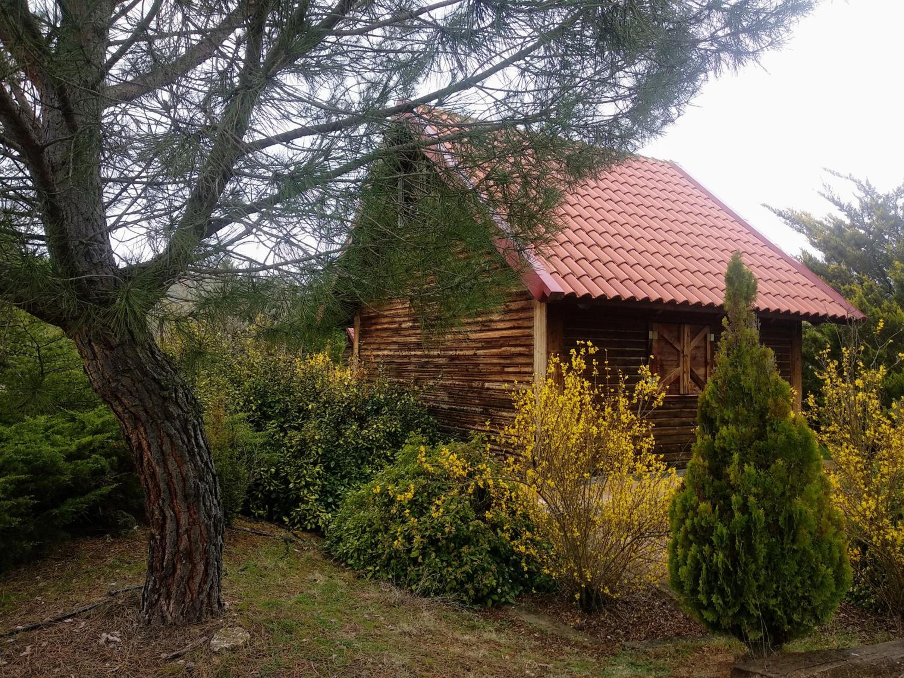 Photo 23