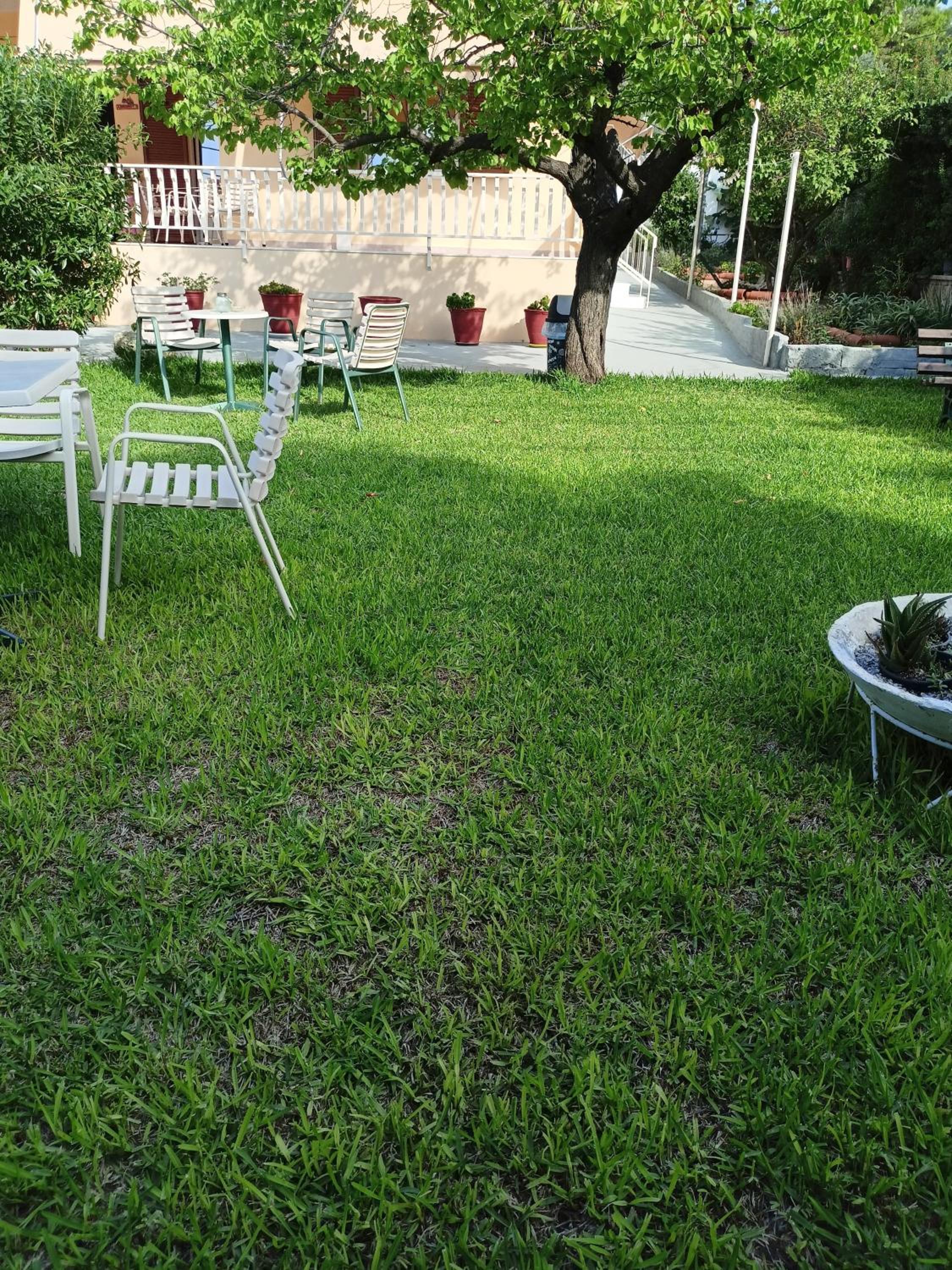 outdoor BBQ area