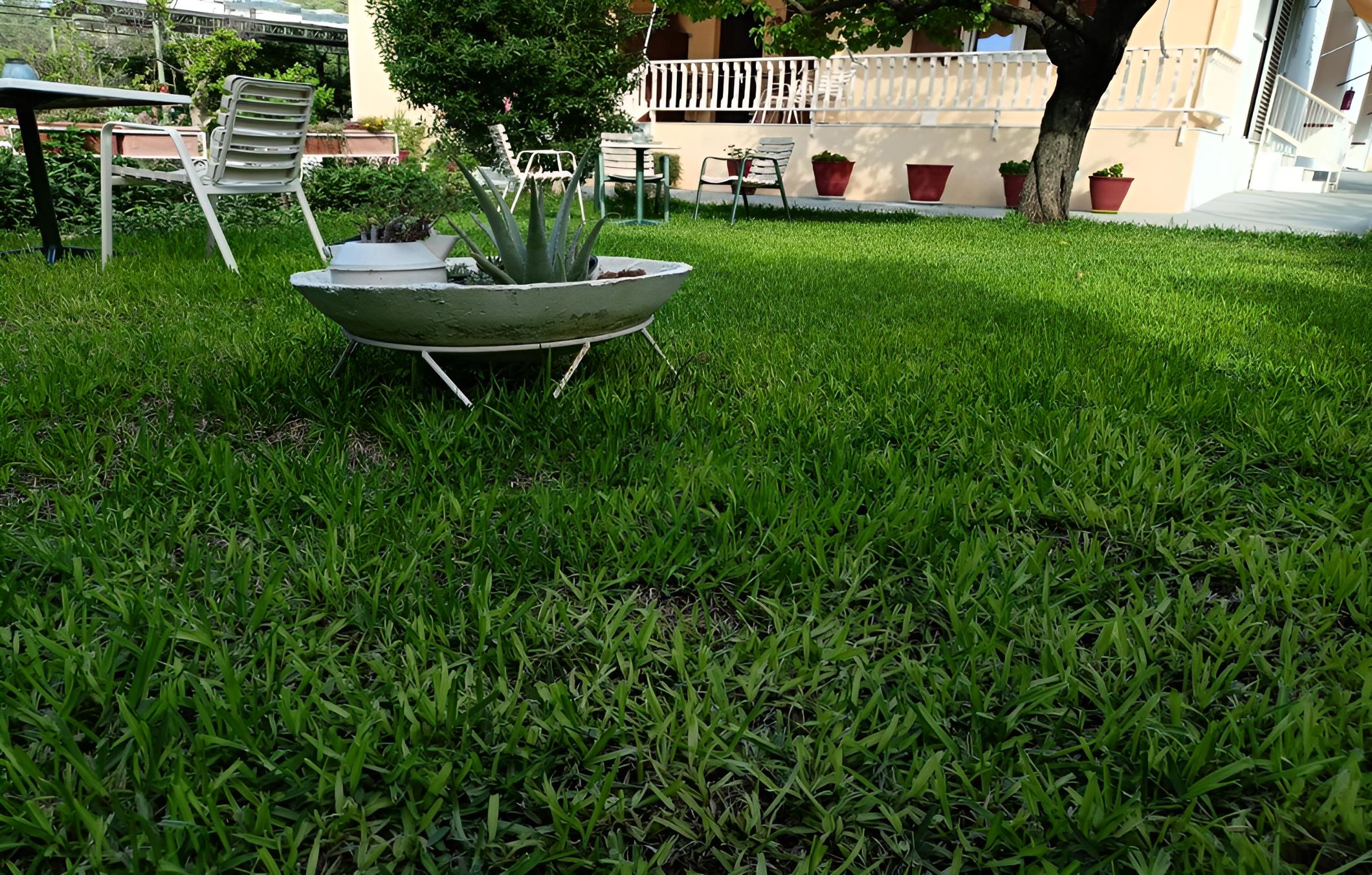 garden