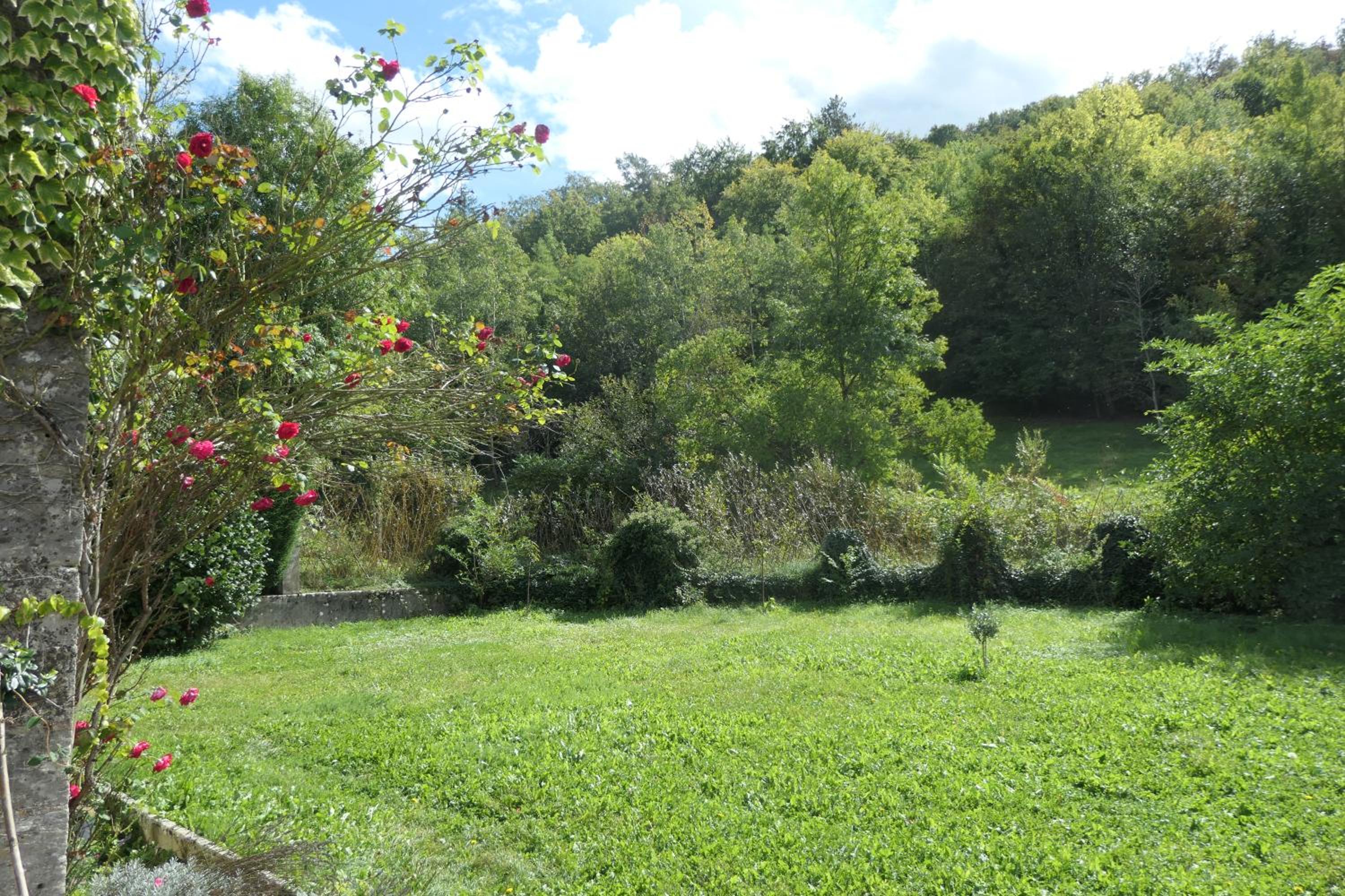 Photo 23