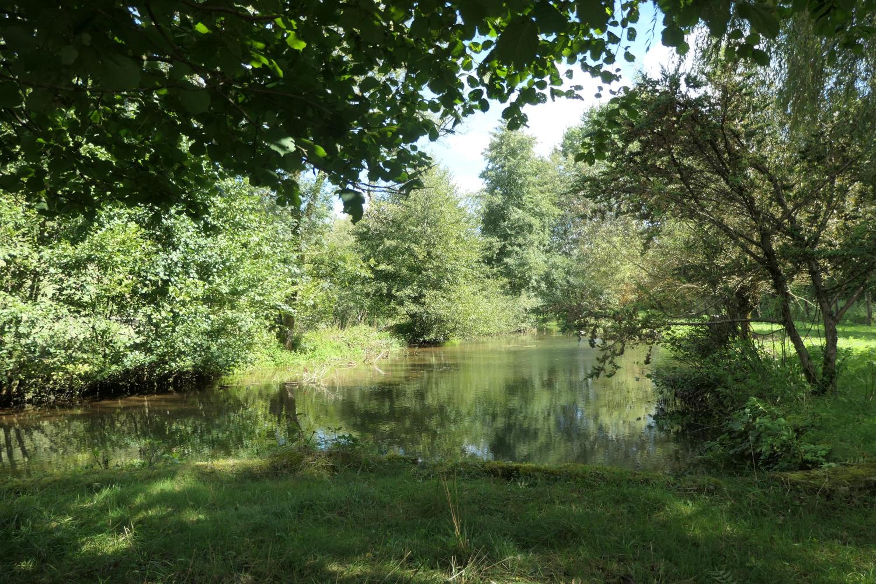 Photo 29