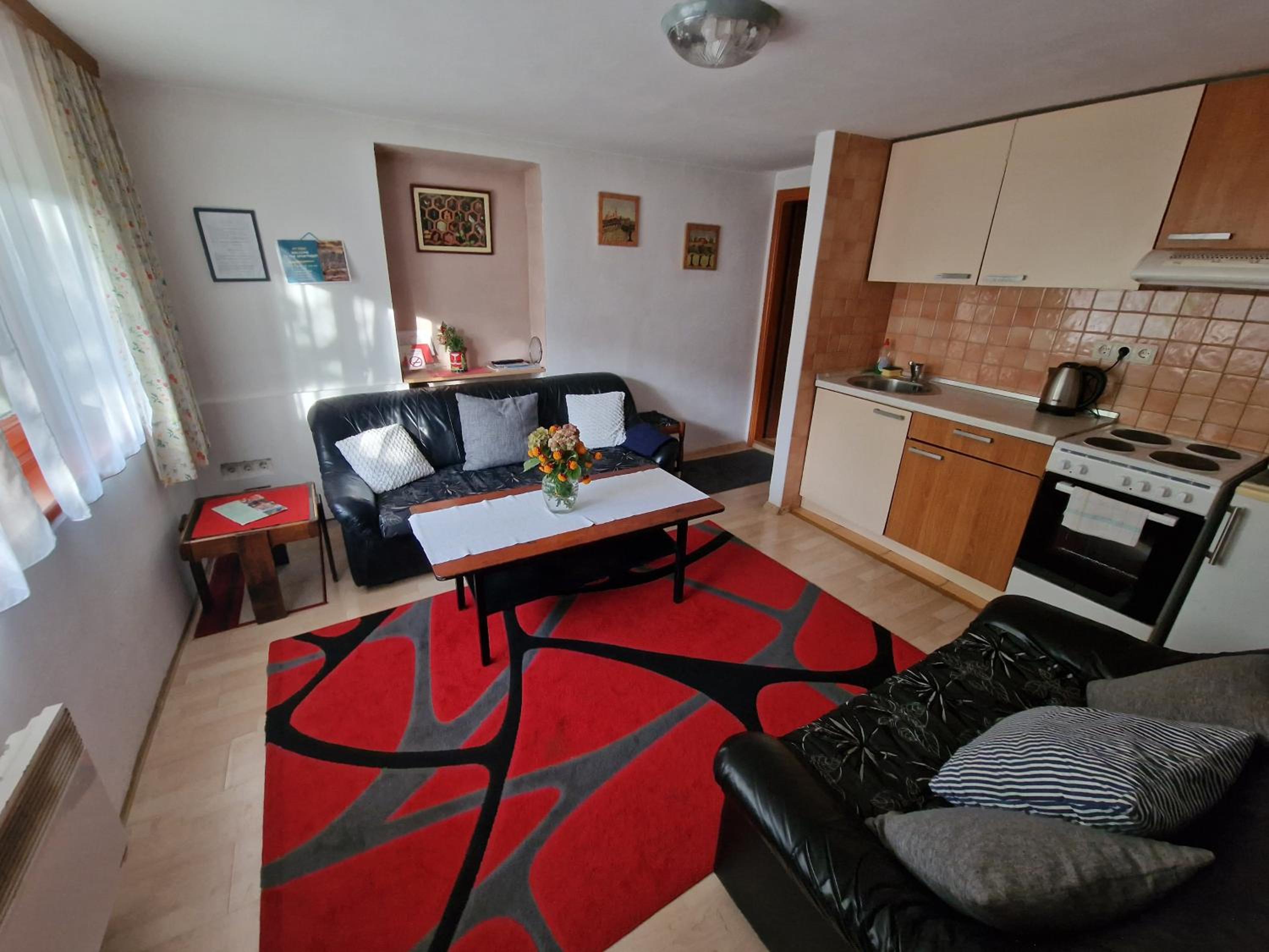 Apartment near center