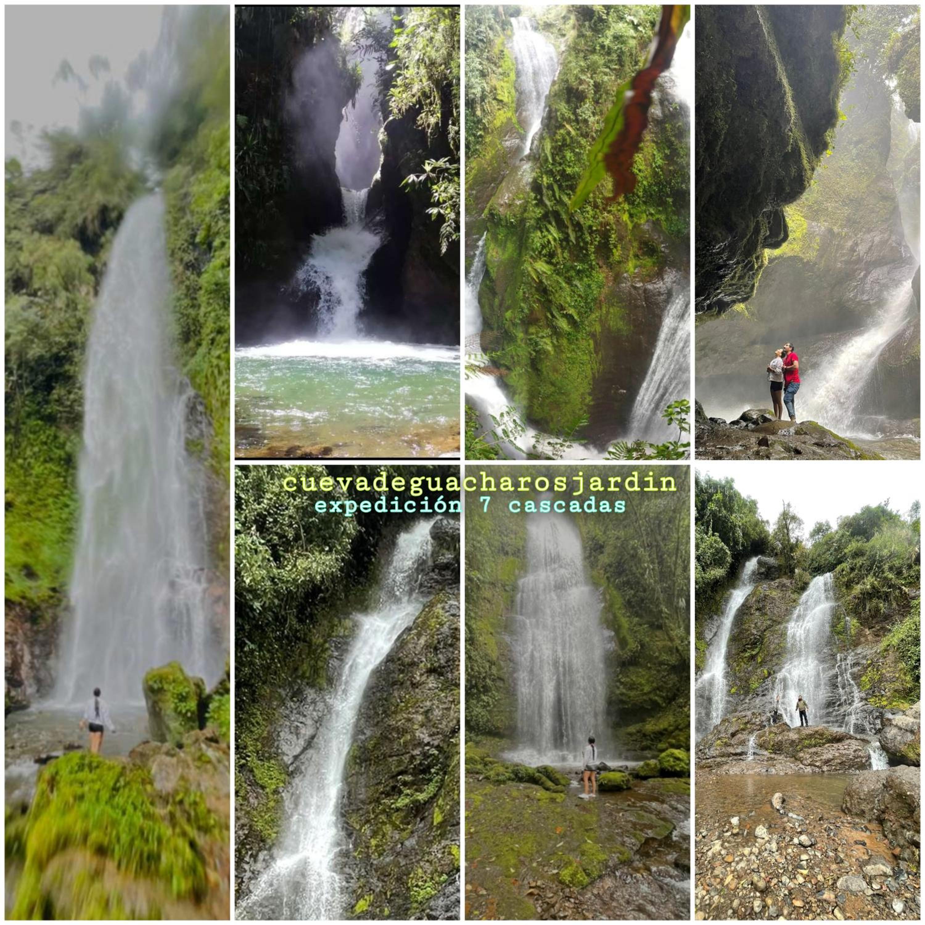 Jardín es Tuyo