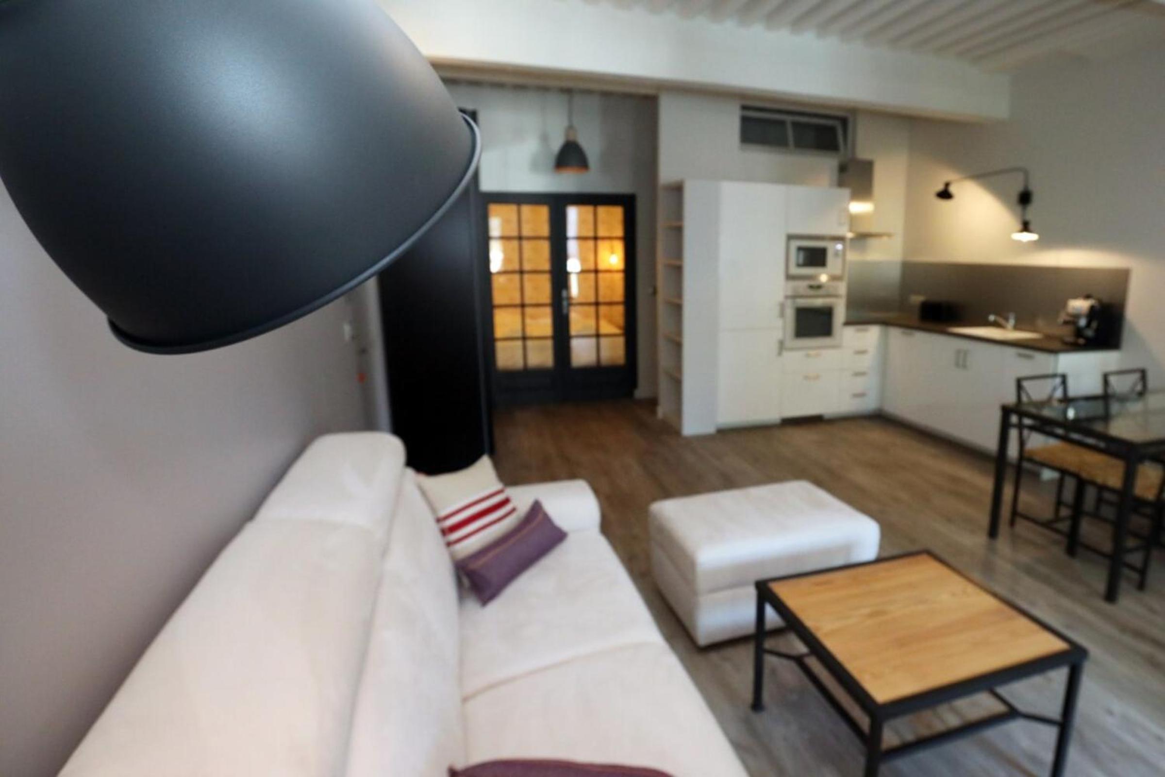 55 m2 Apart with big terrace in Annecy downtown