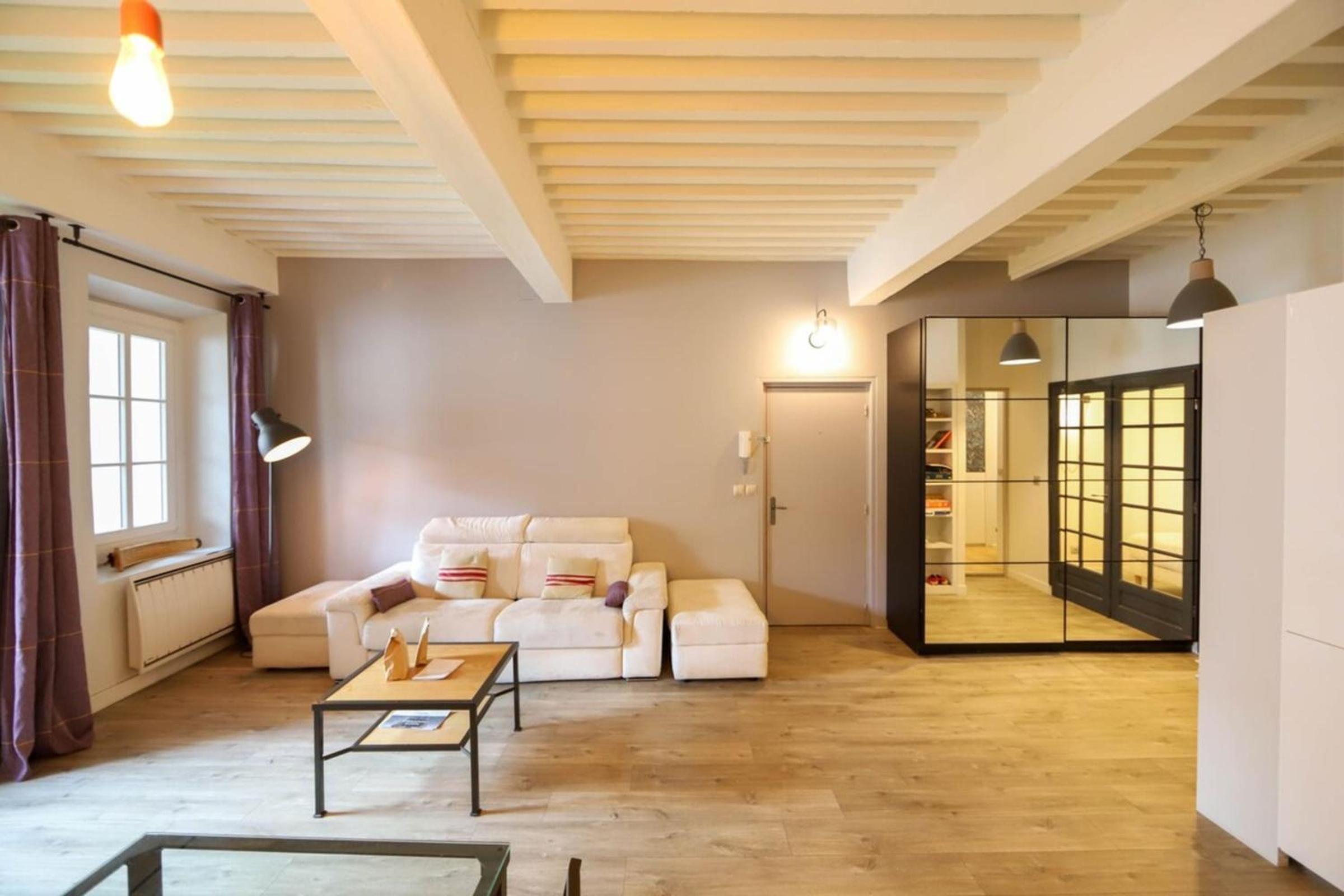 55 m2 Apart with big terrace in Annecy downtown