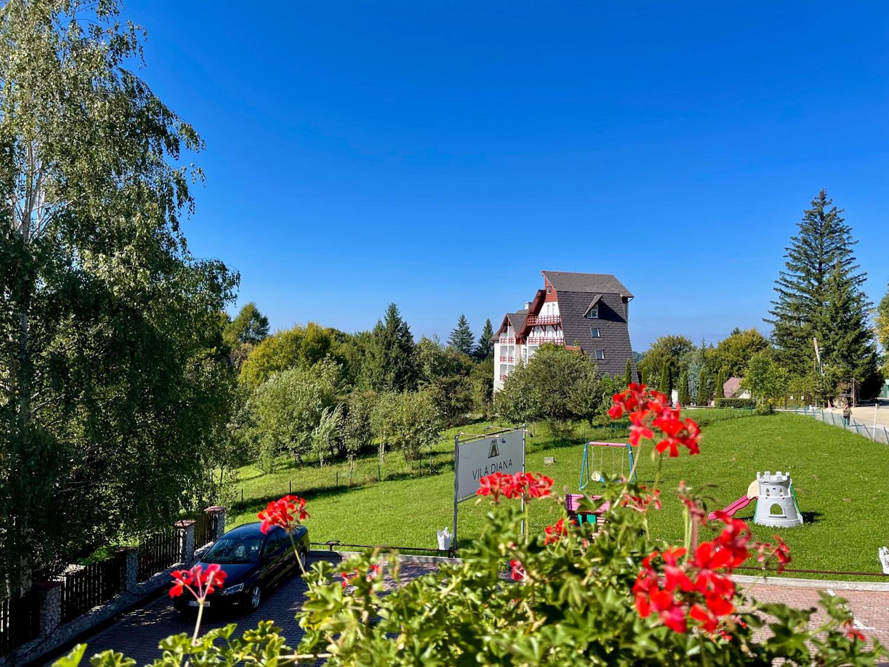 Vila Diana - Poiana Brasov view 3