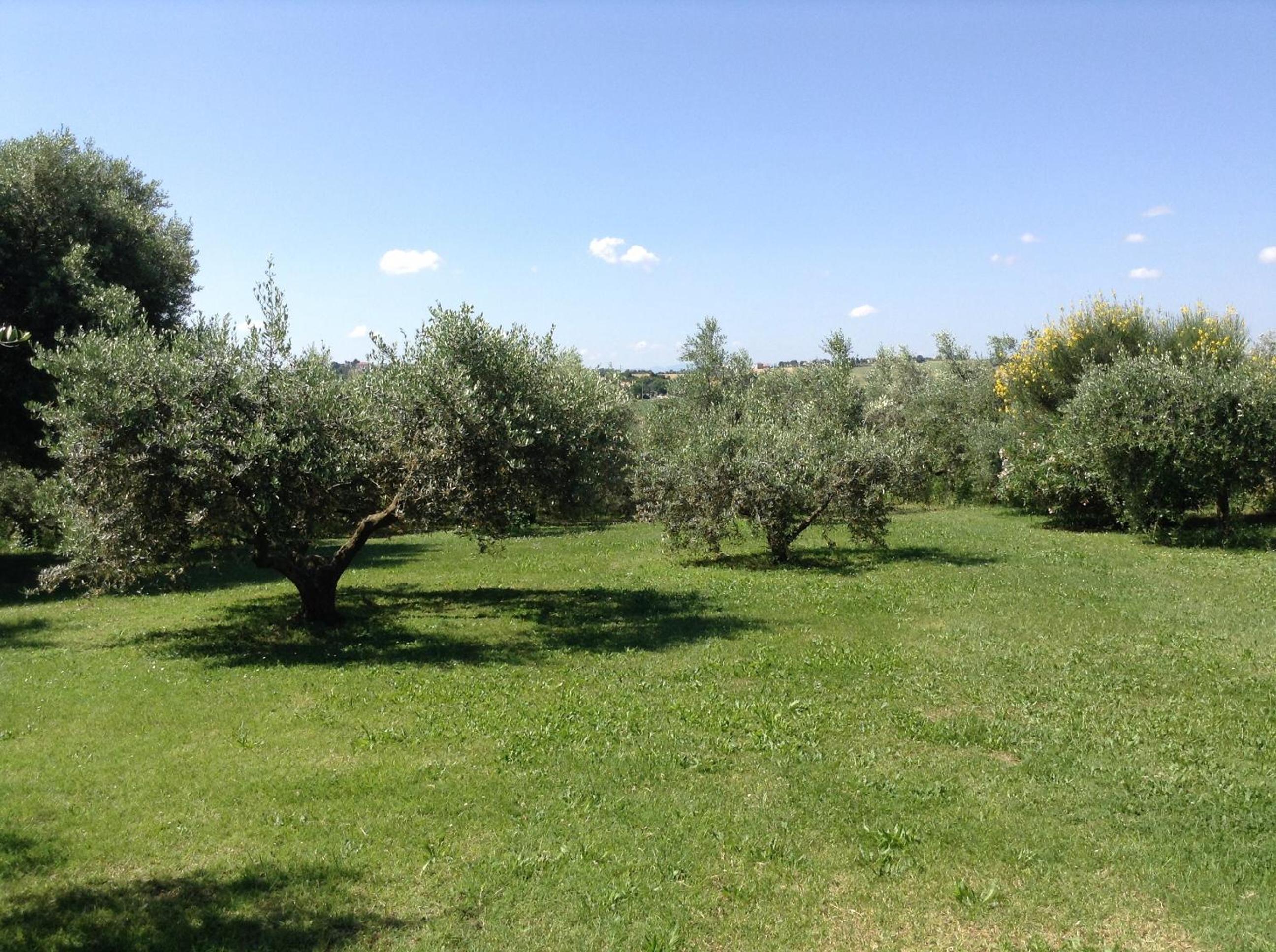Photo 29