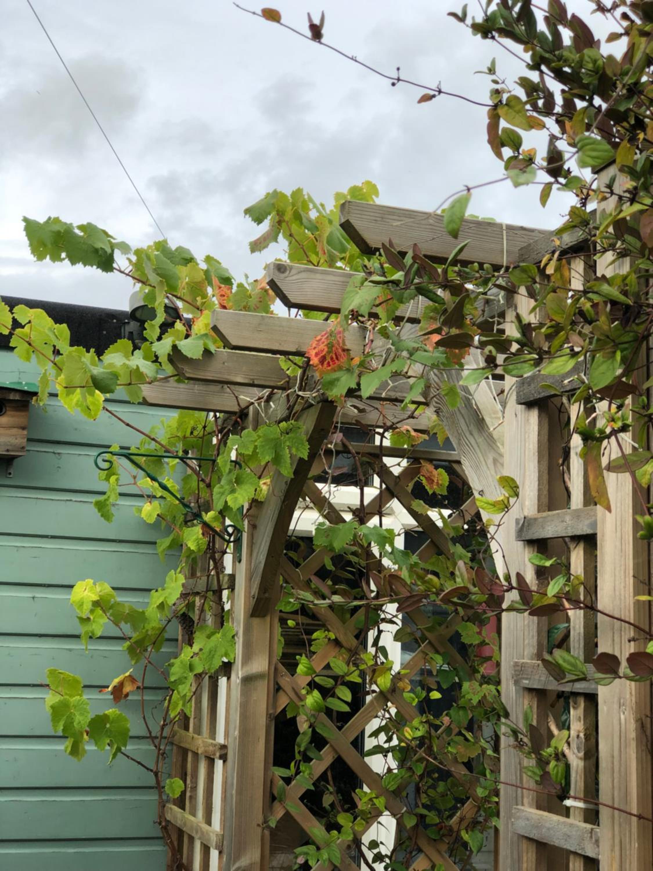 Photo 19
