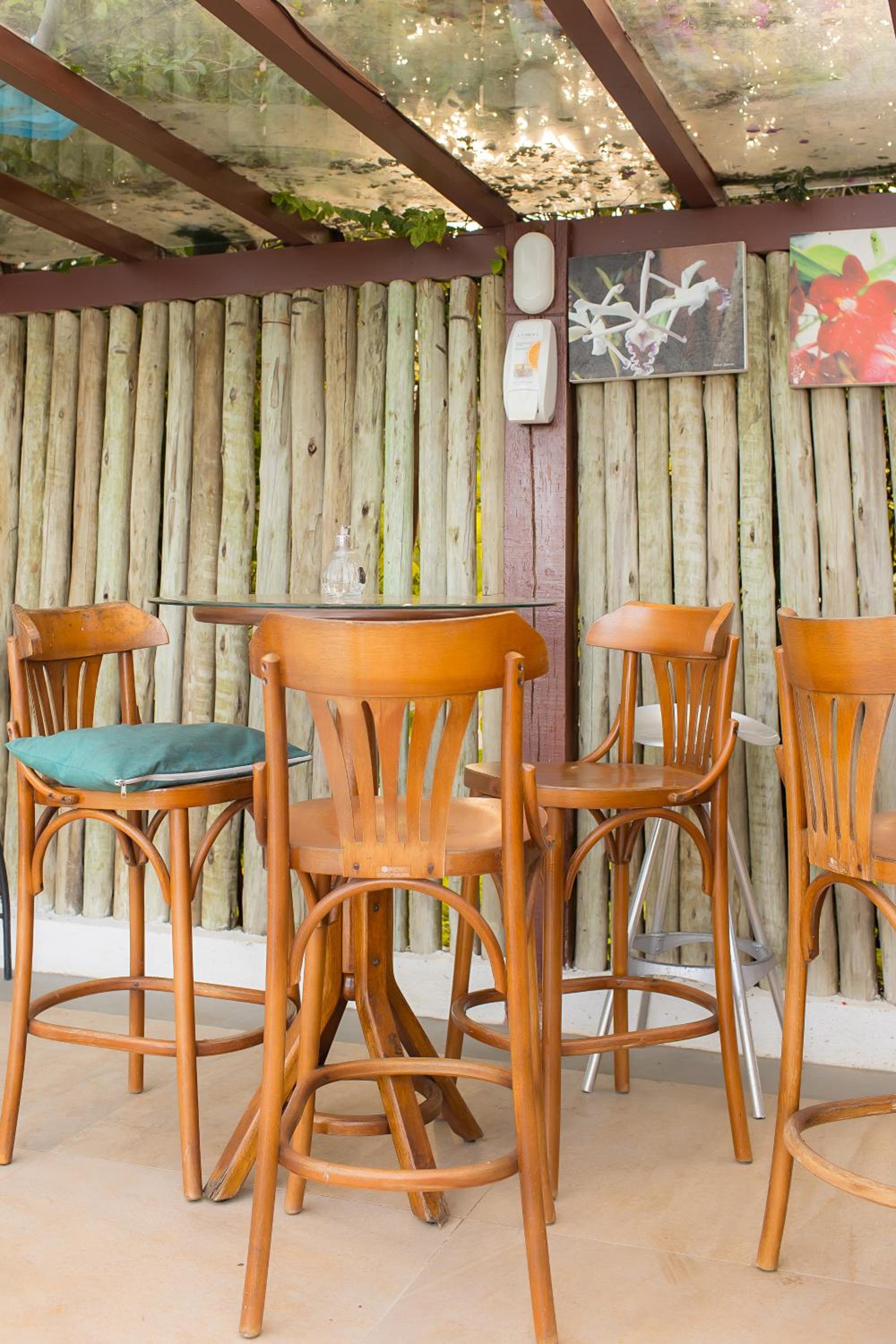 Orquídea Café