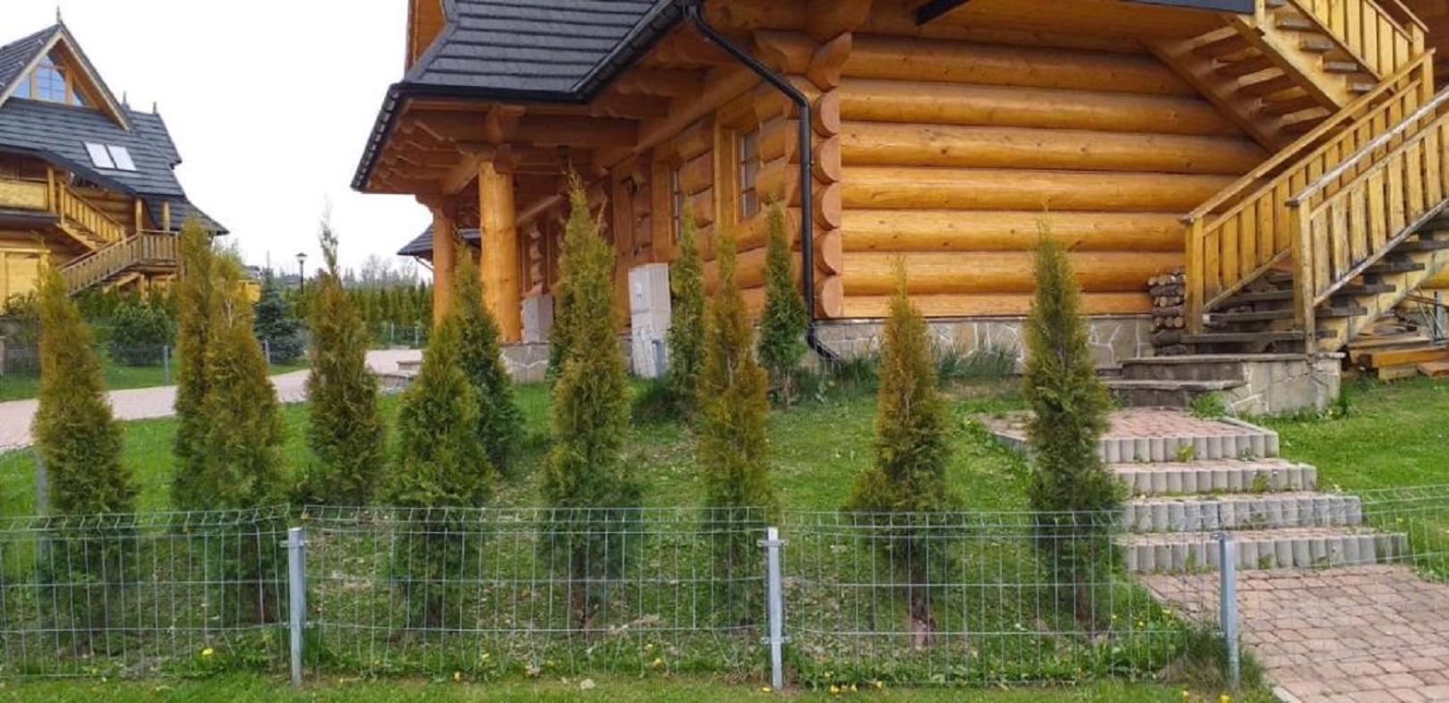 Photo 24
