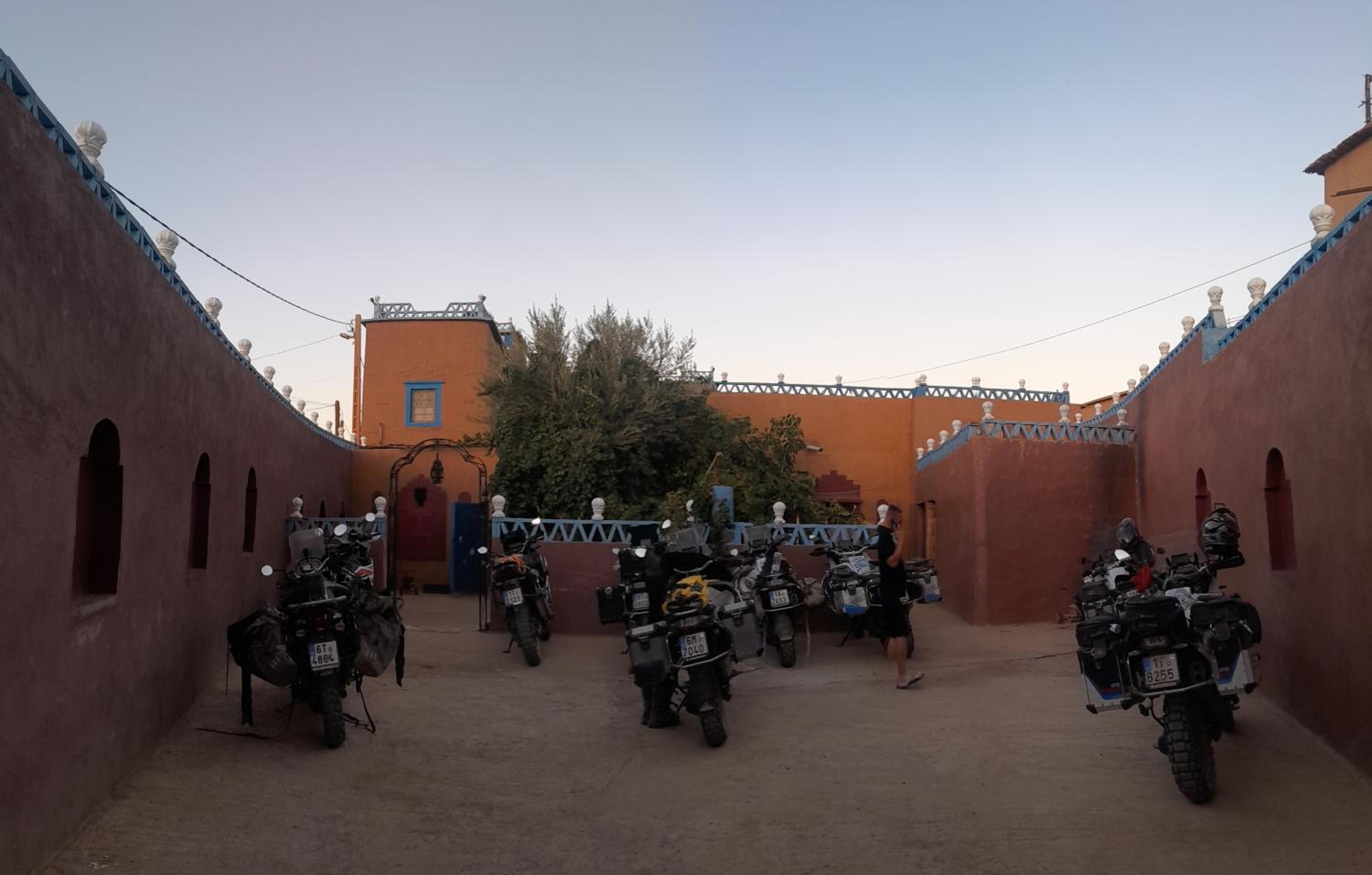 Riad Dades Birds