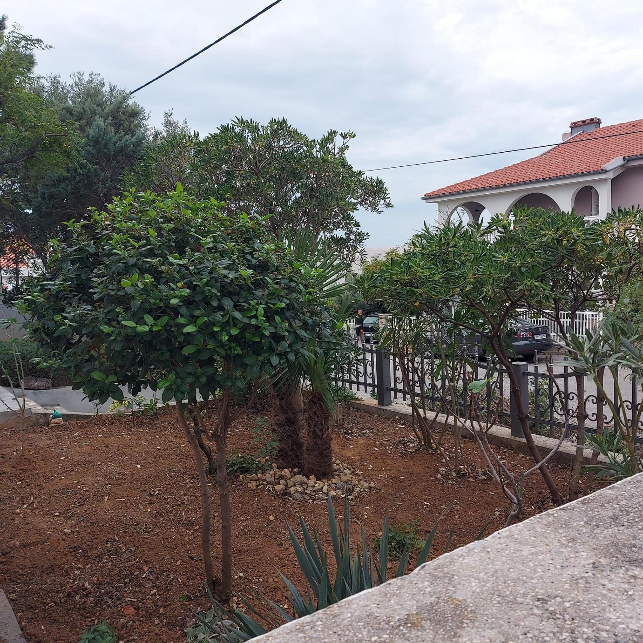 Photo 27