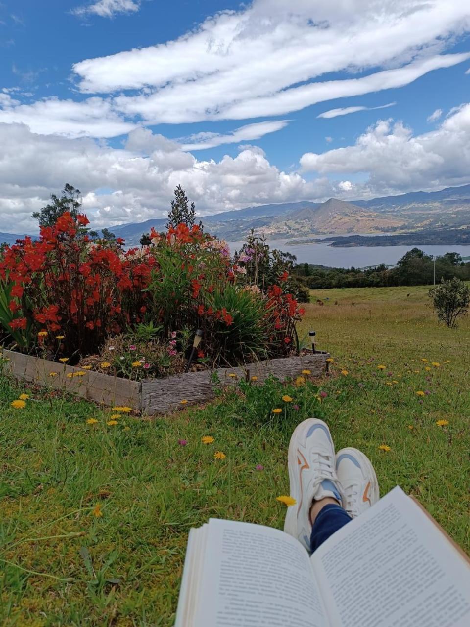 Glamping hermoso amanecer view 4