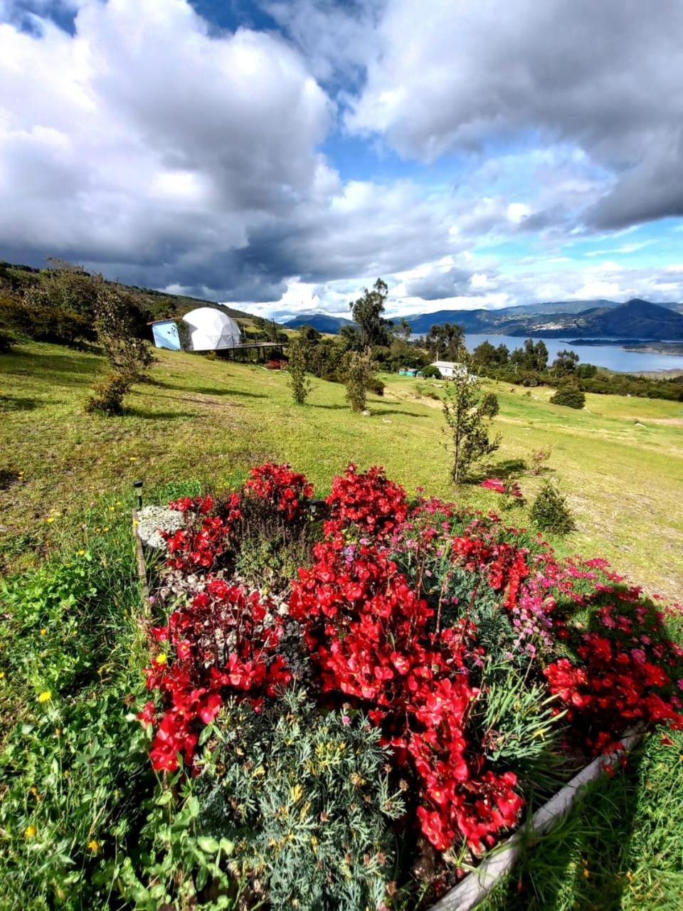 Glamping hermoso amanecer view 5