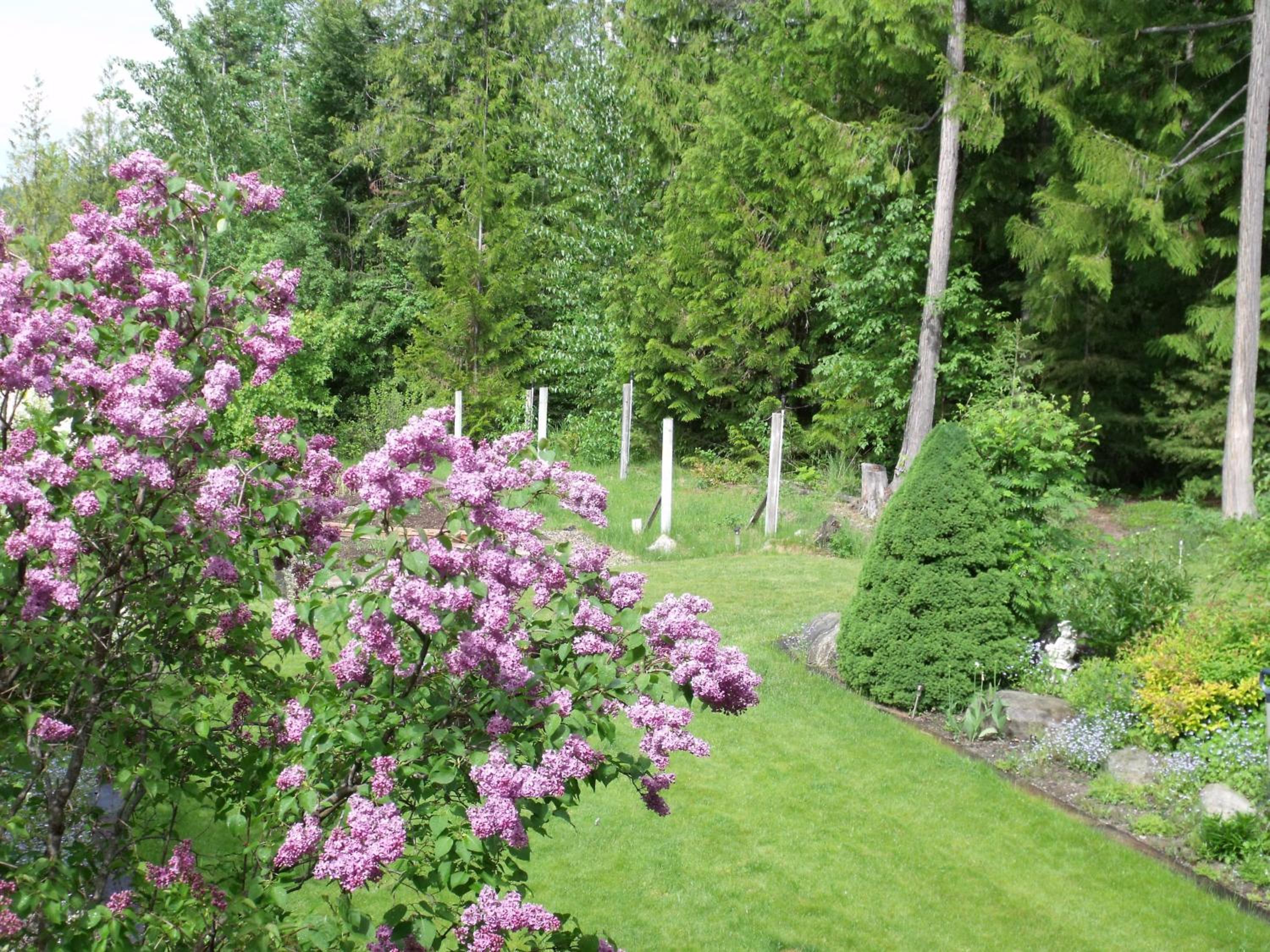 Vernon Vacations - Silver Star Bed and Breakfast - Property Image 15