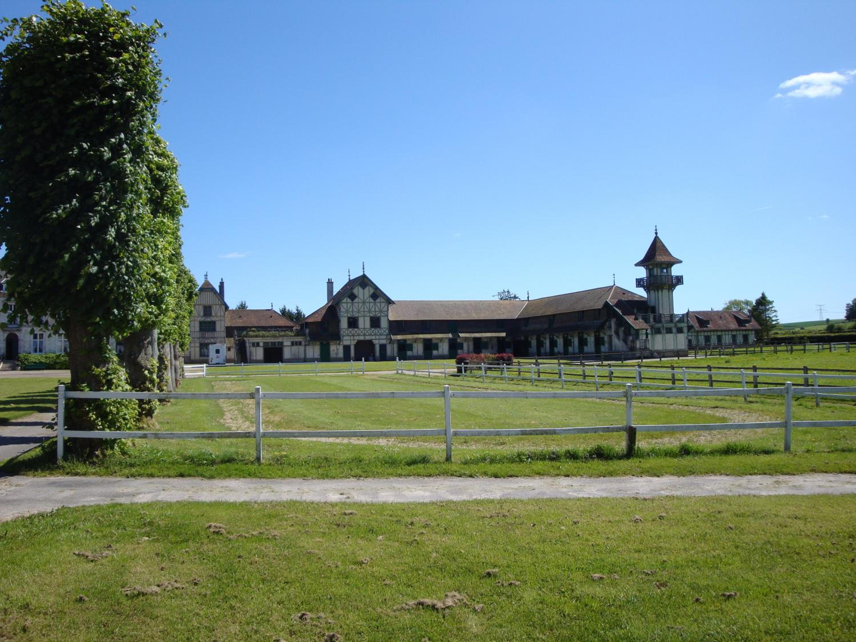 Photo 6