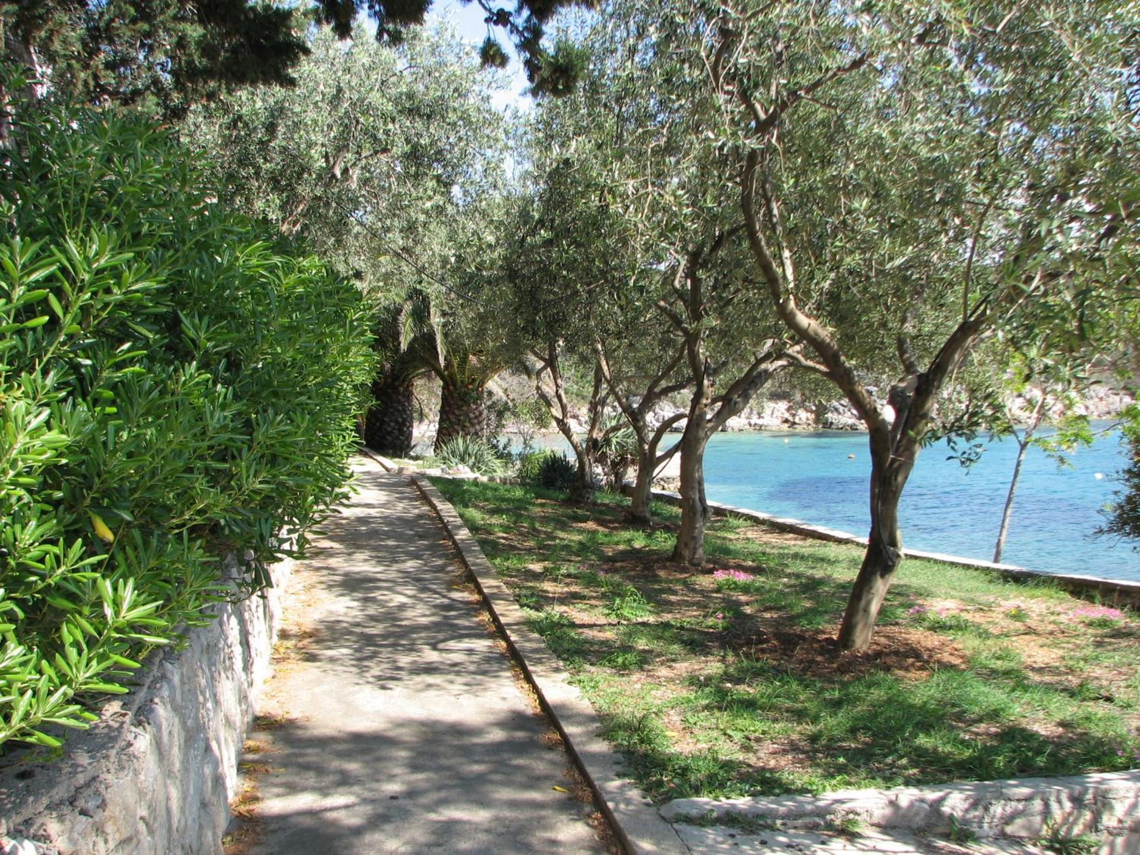 Photo 42