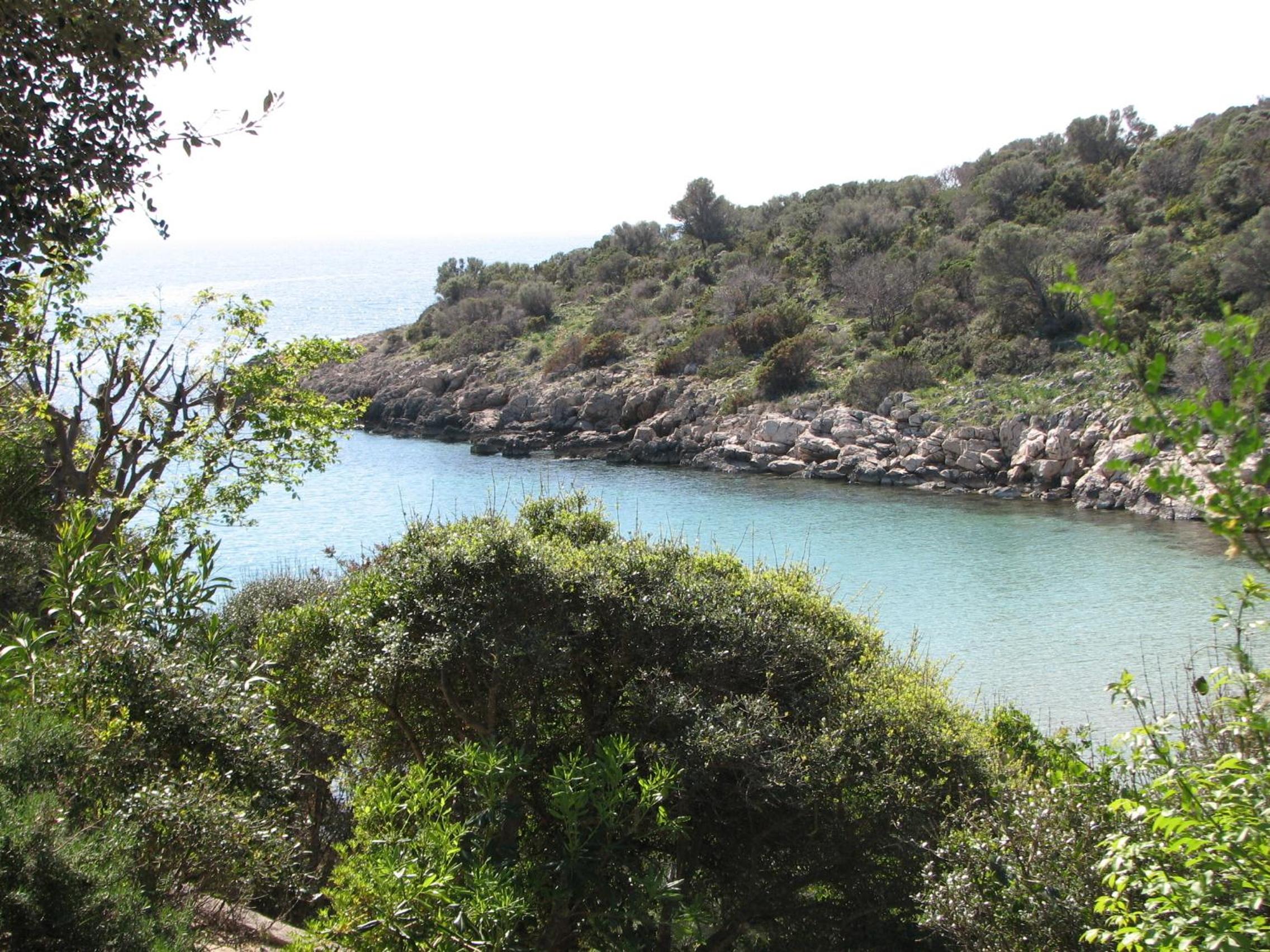 Photo 44