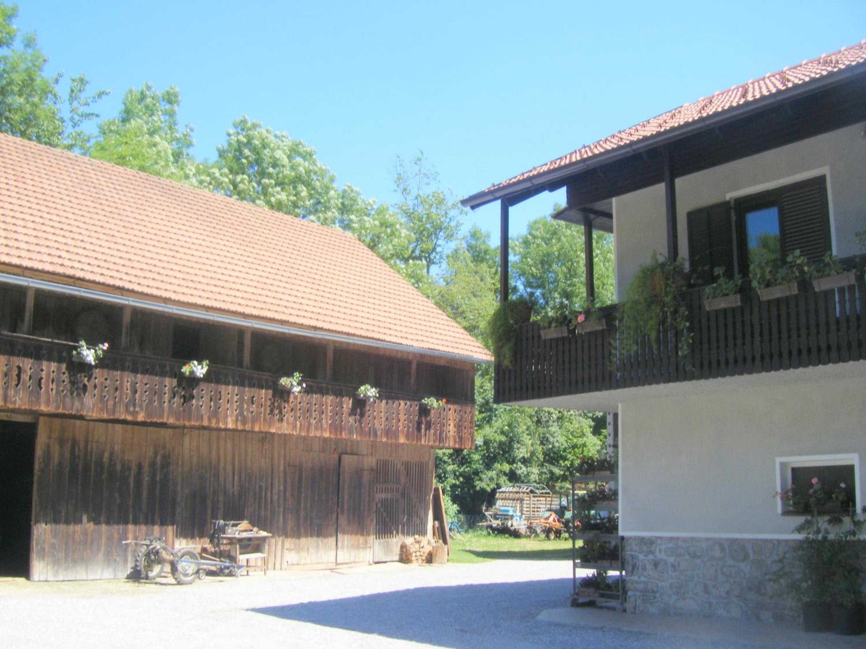 Guest House Kmetija view 4