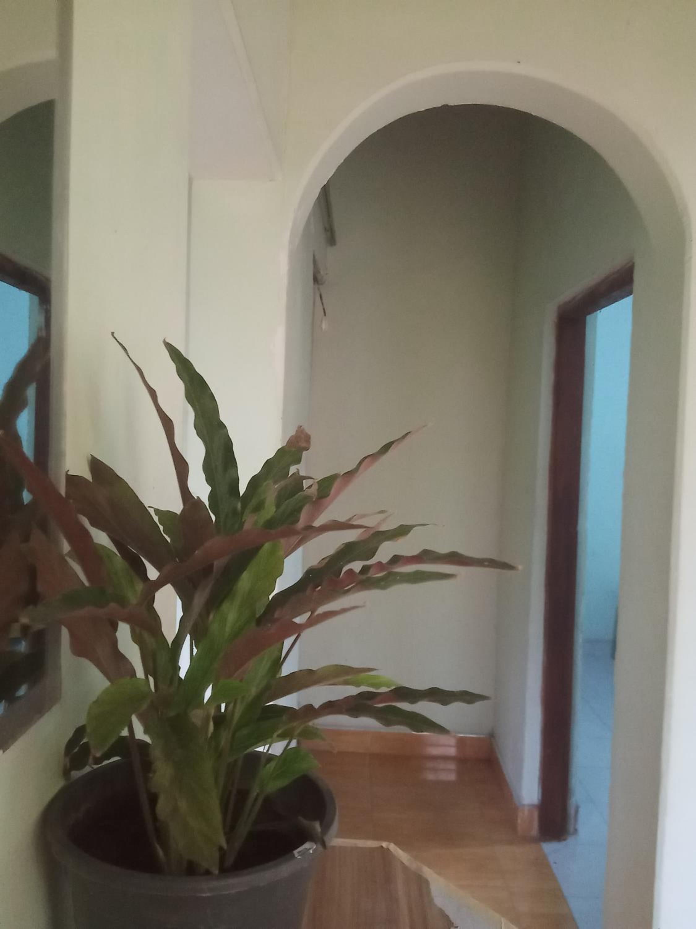 Osheen Family Guest House