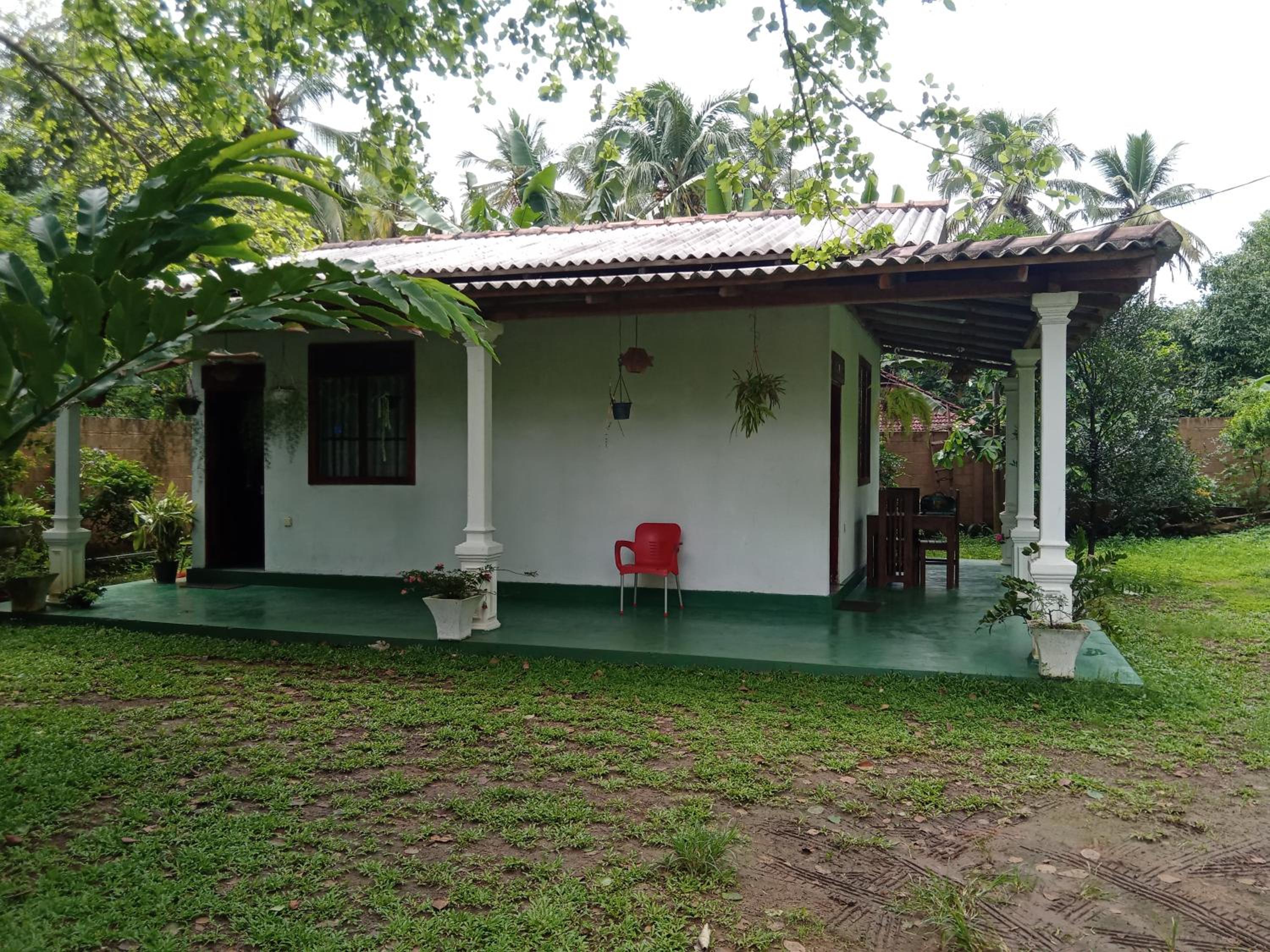 Photo 42
