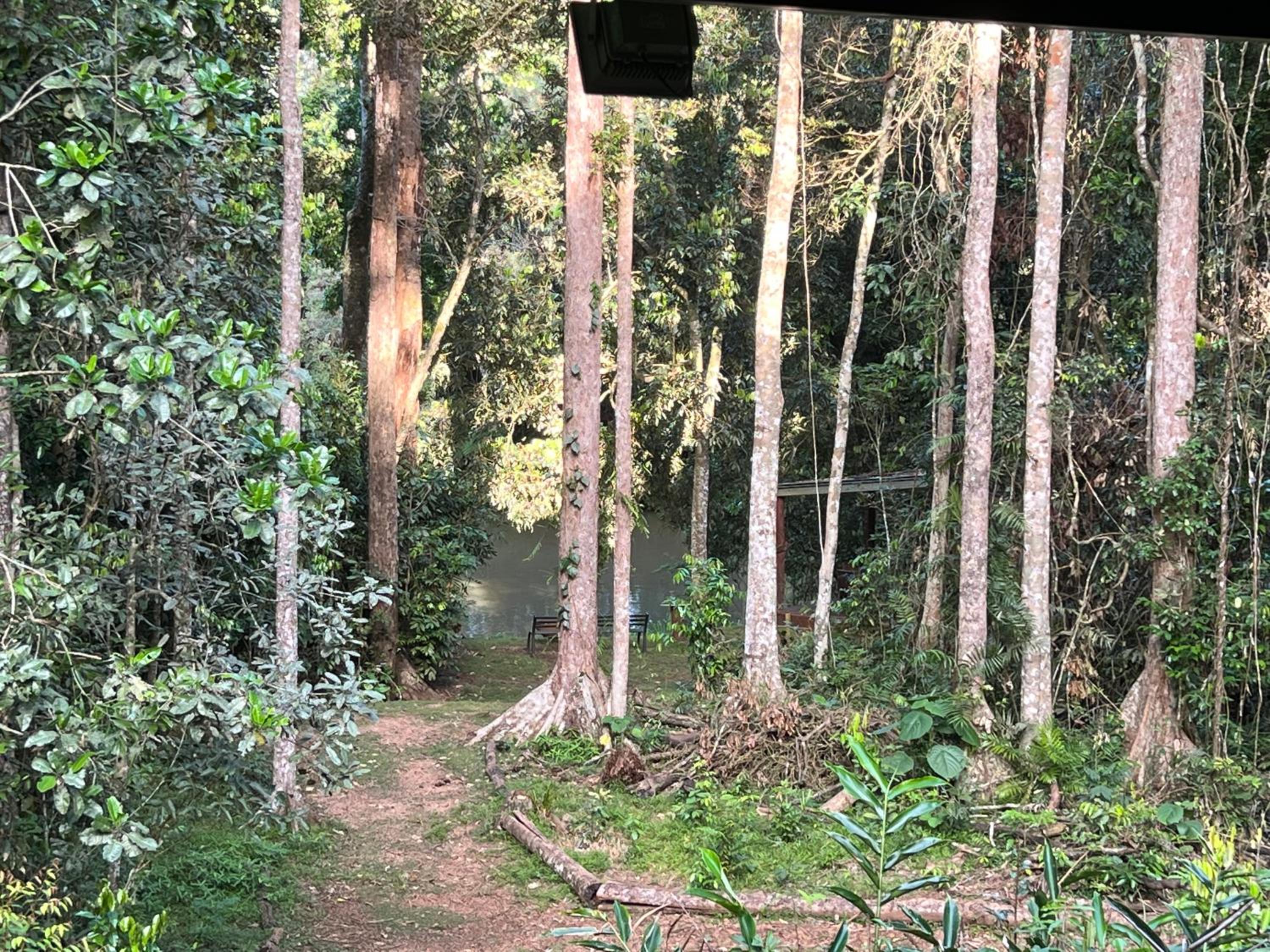 Figtree Getaway
