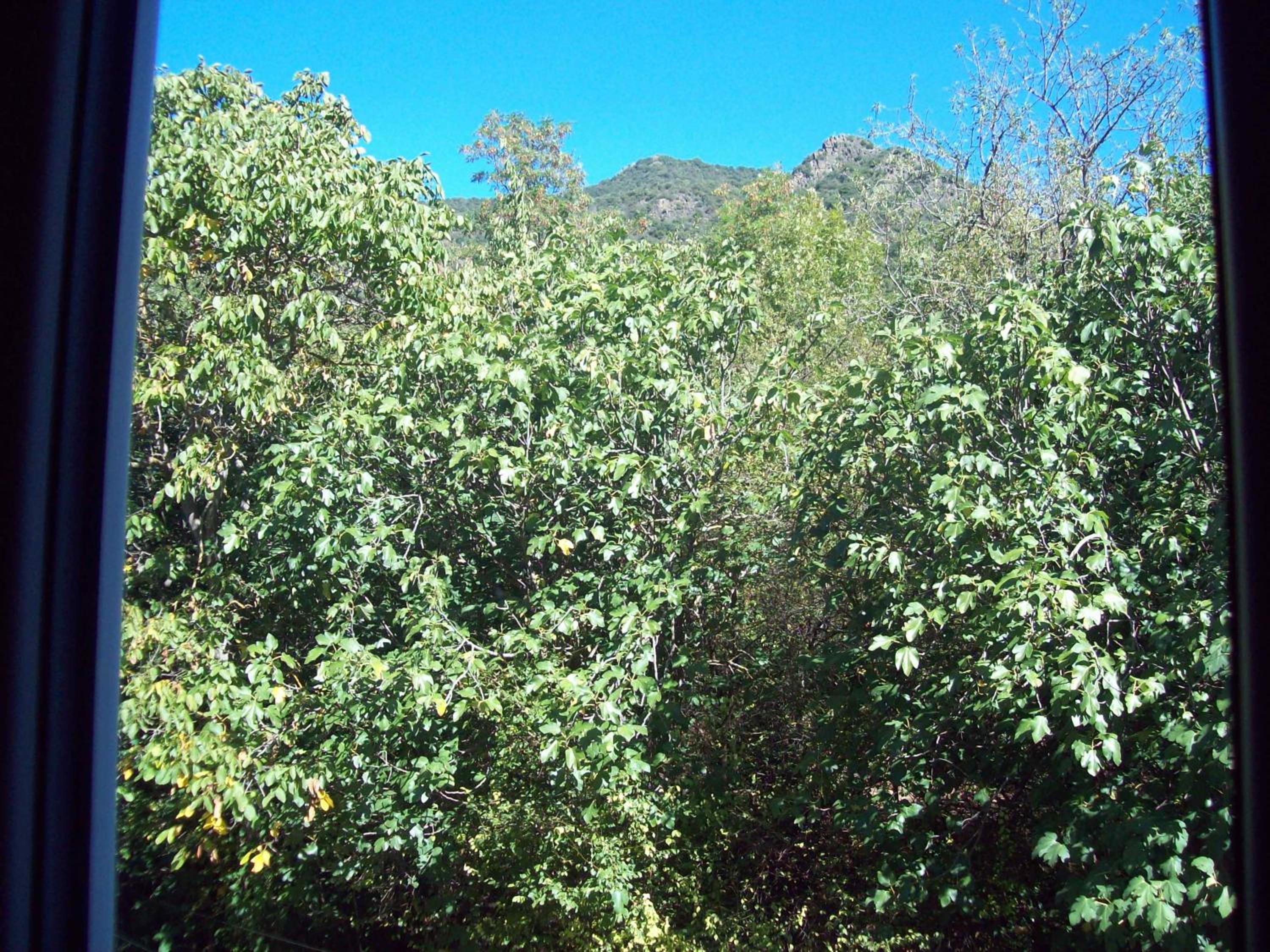 Photo 48