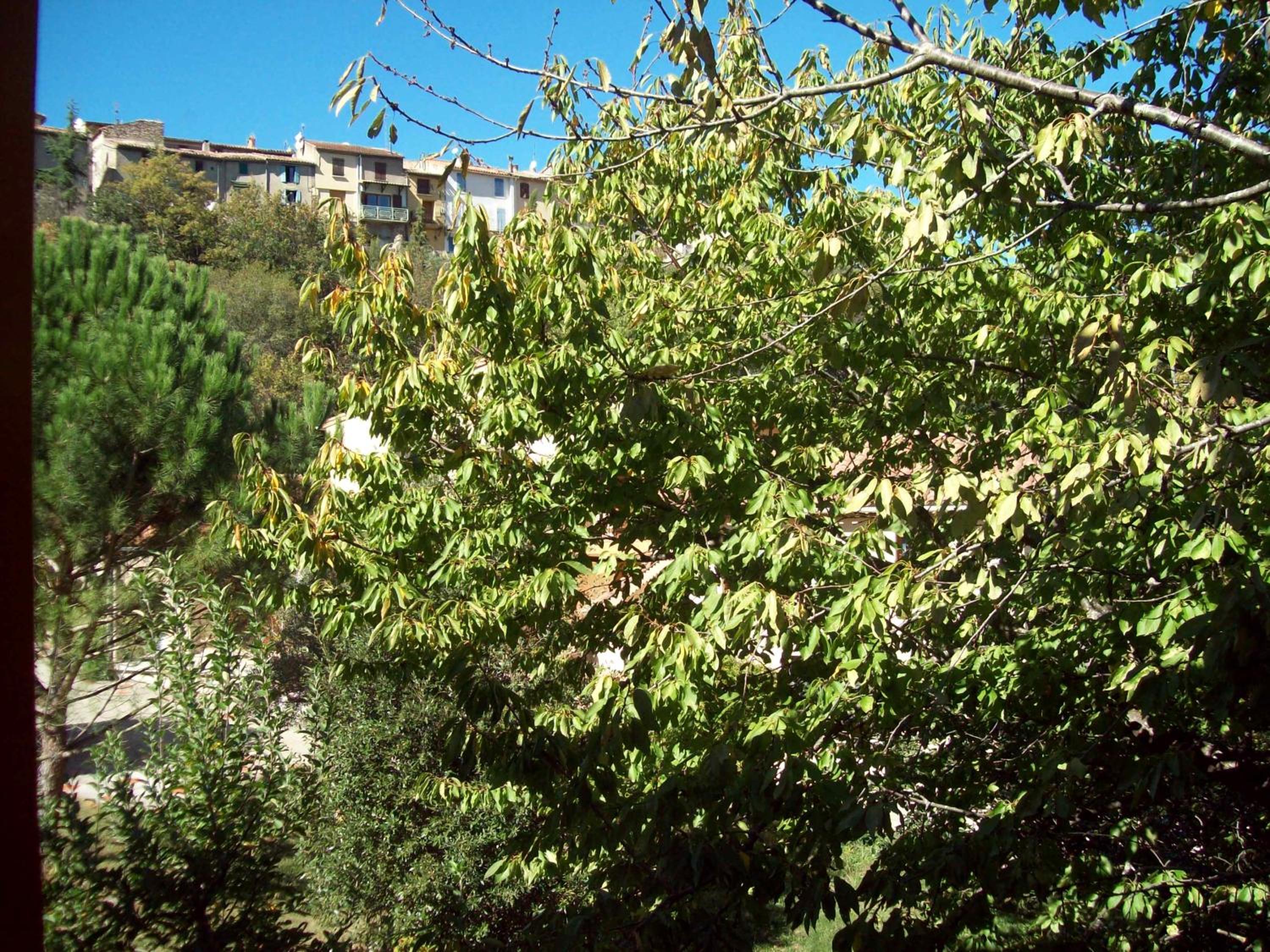 Photo 49
