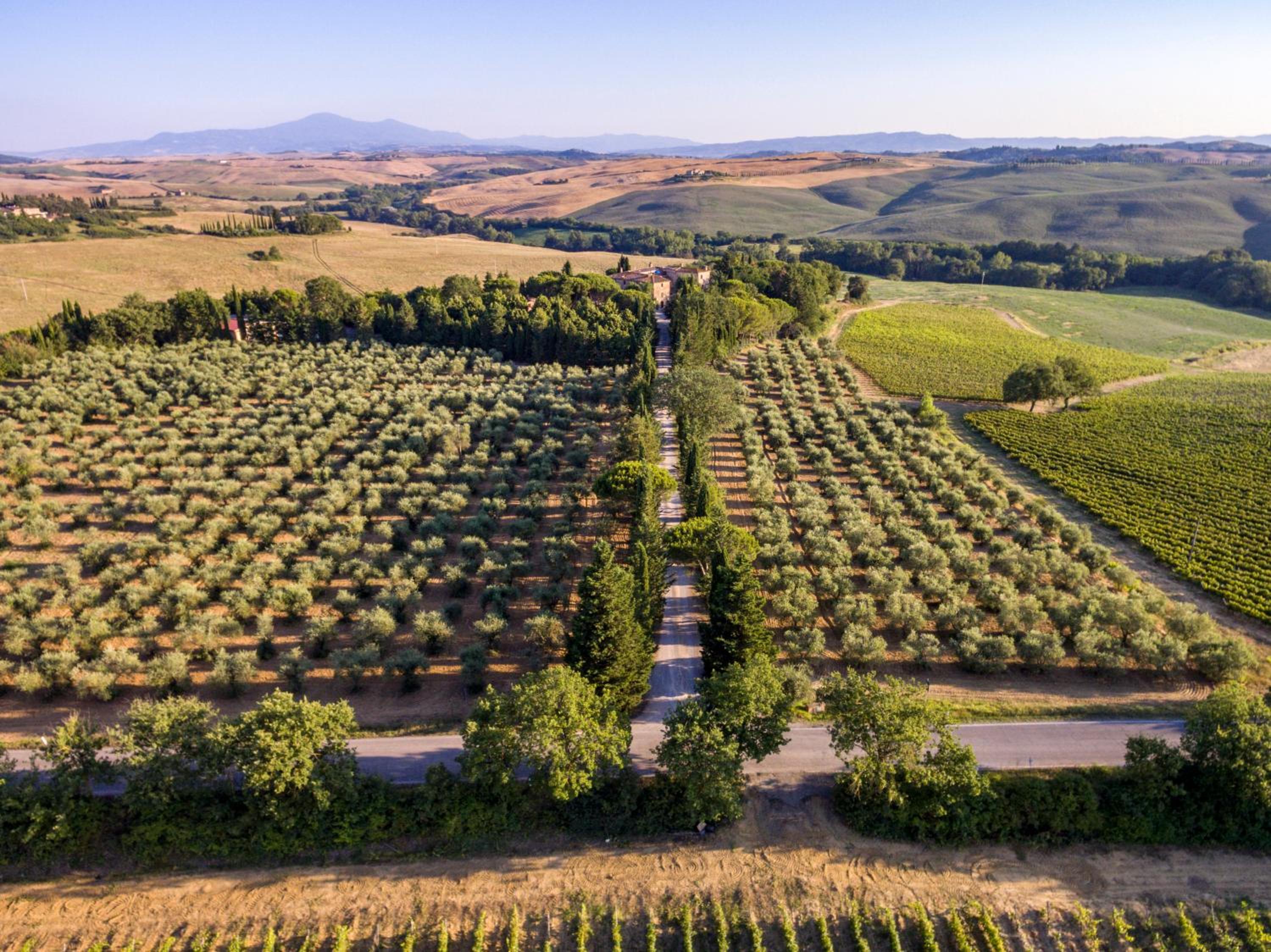 Agriturismo Pometti - Fattoria La Selva