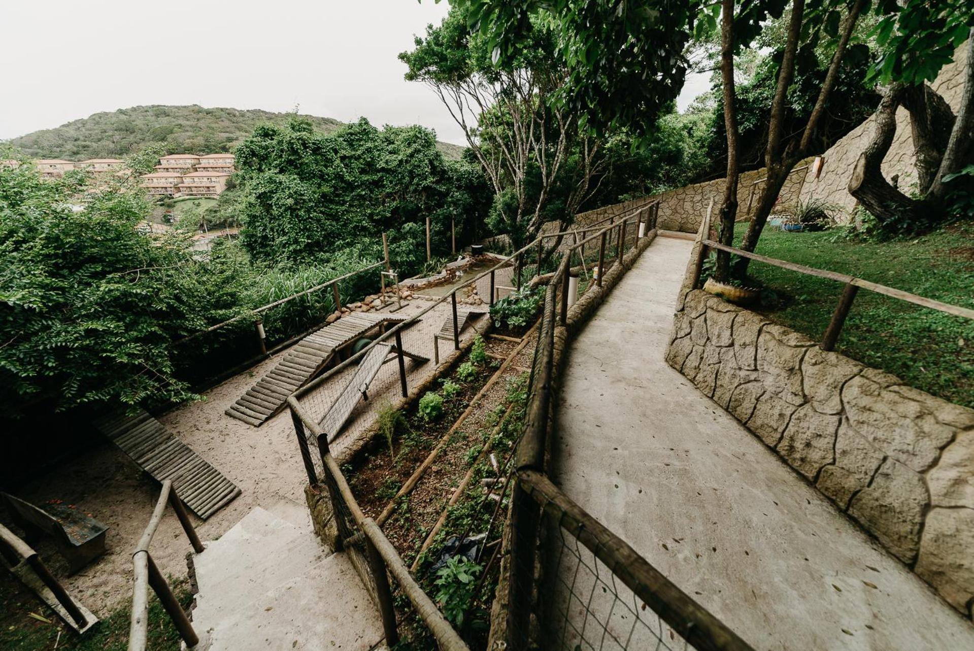 children's play area
