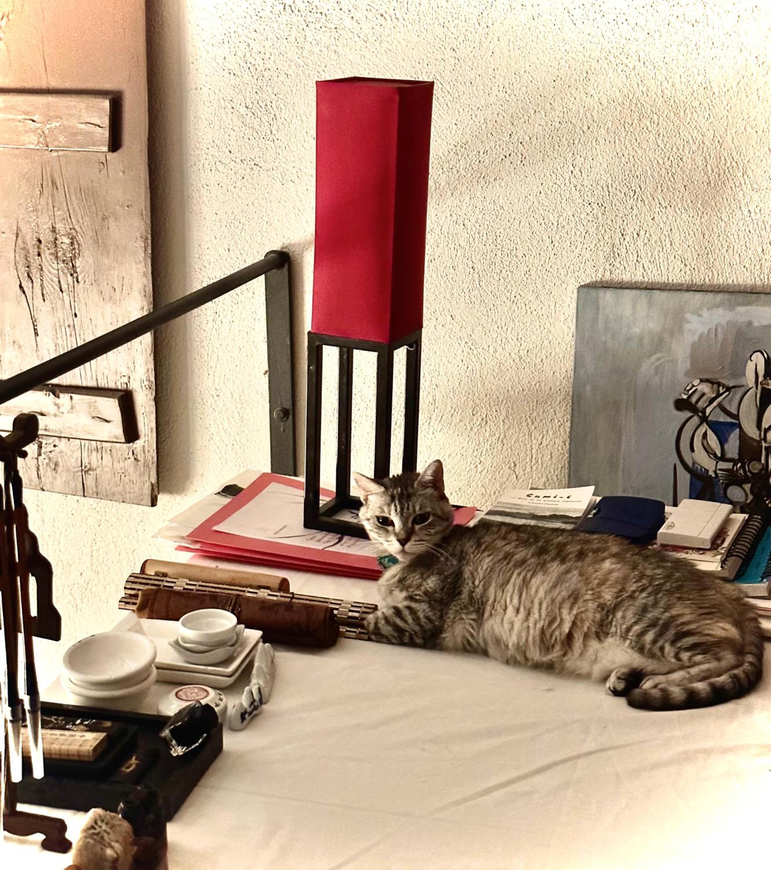 Photo 31