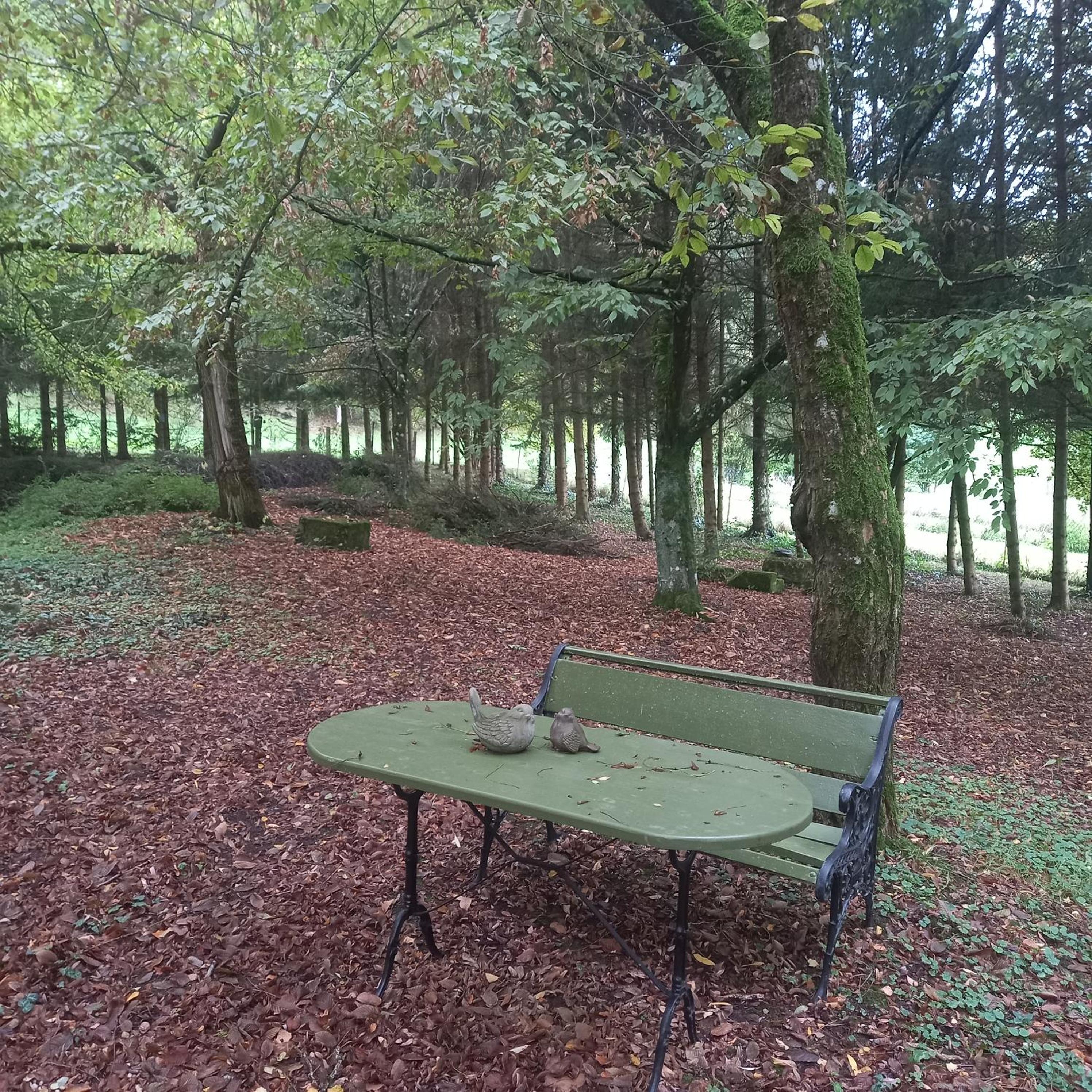 La Haie à Cerf view 3