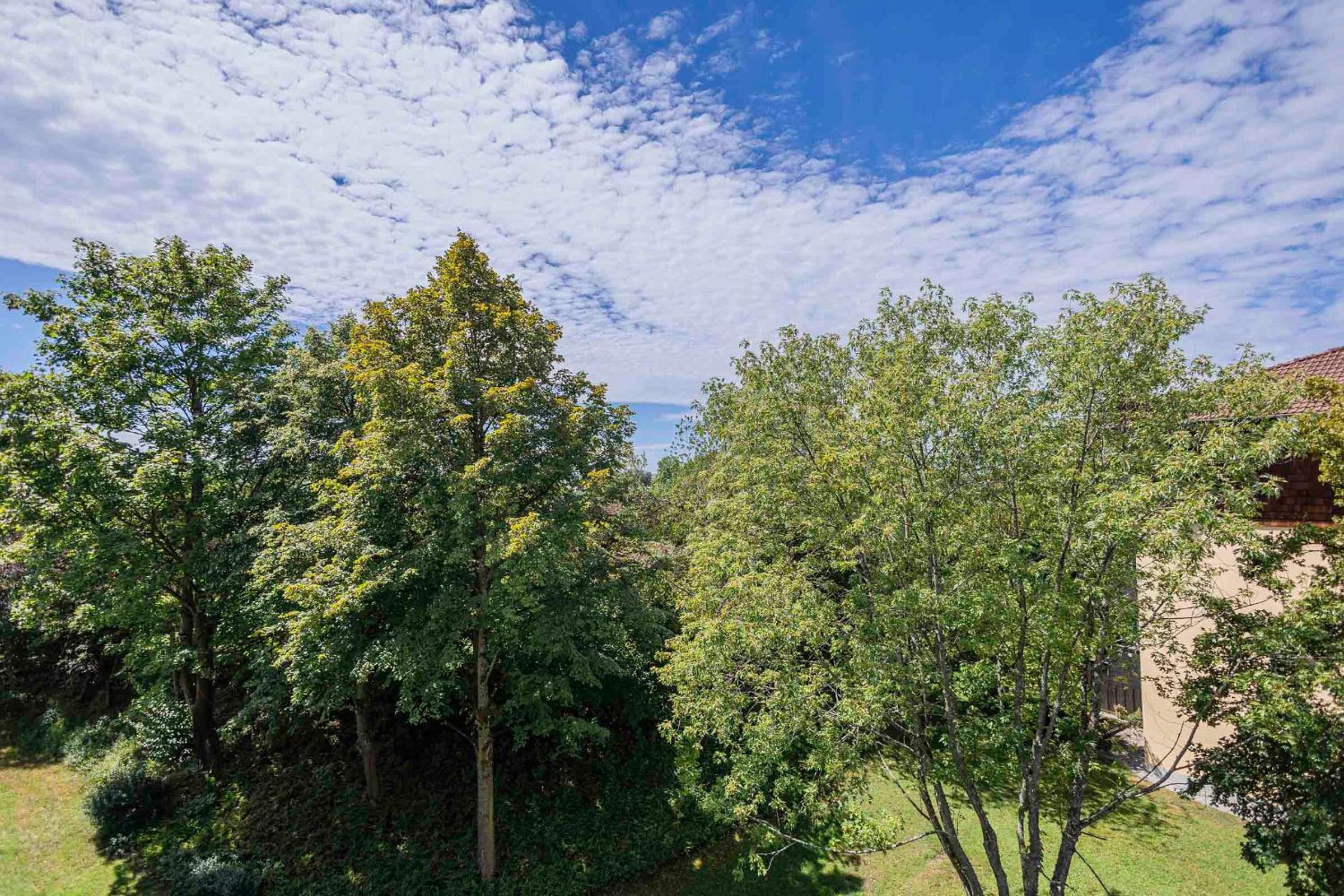 Ferienwohnpark Immenstaad am Bodensee Zwei-Zimmer-Apartment 49 47