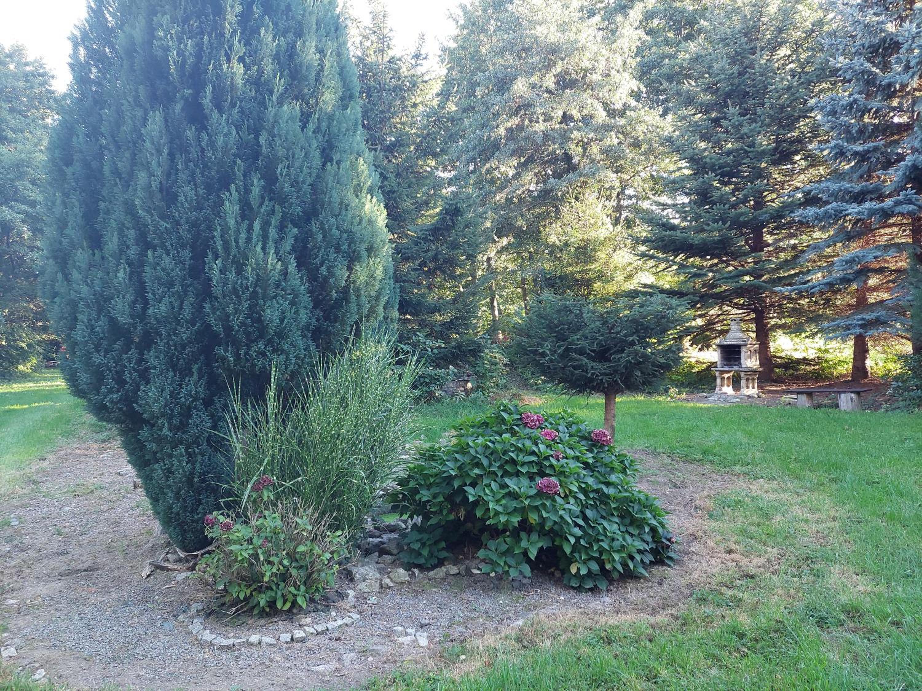 Photo 27