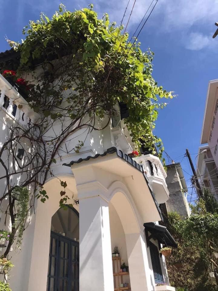 Chái Nho - Homestay & Villa