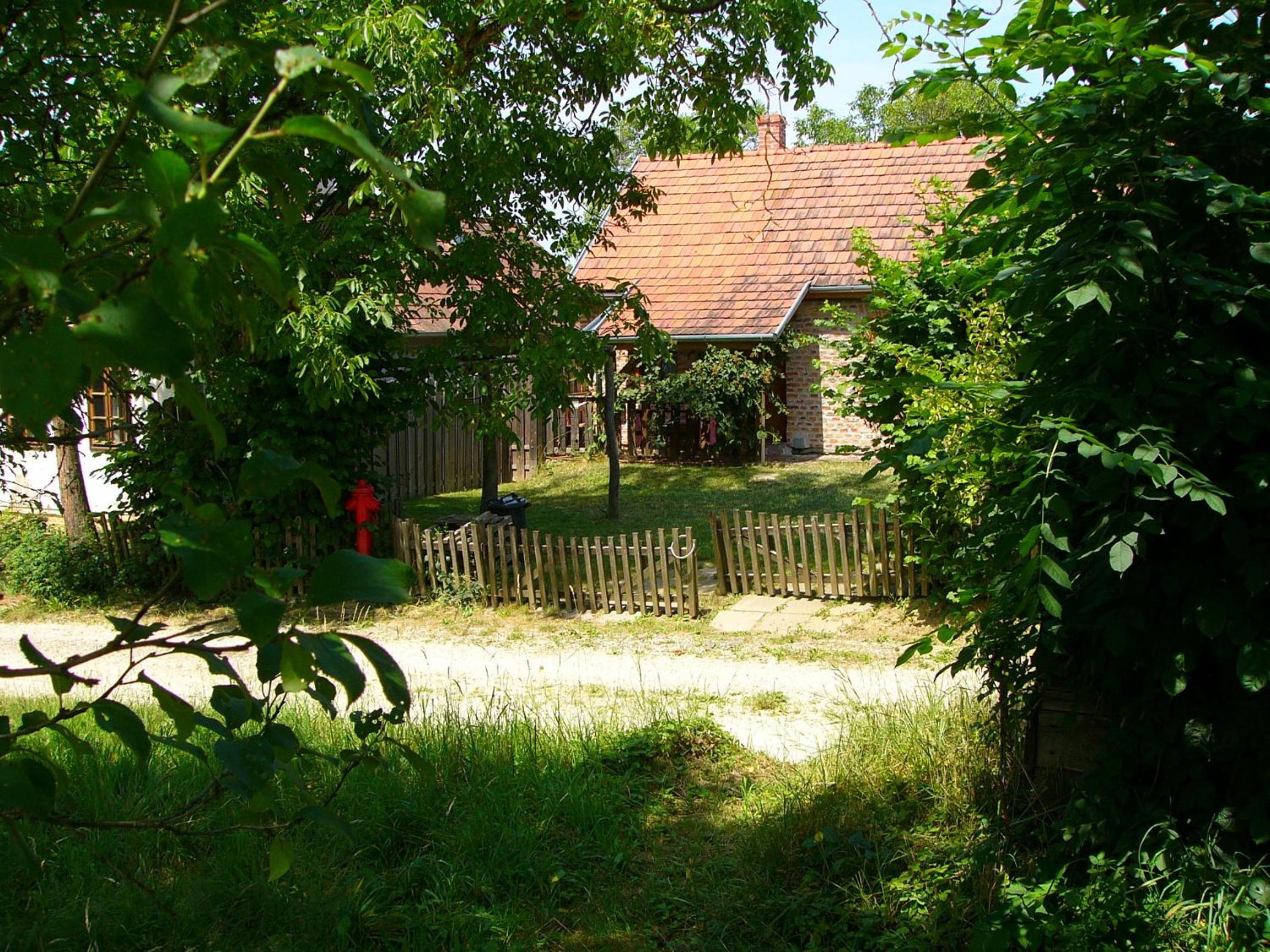 Photo 14