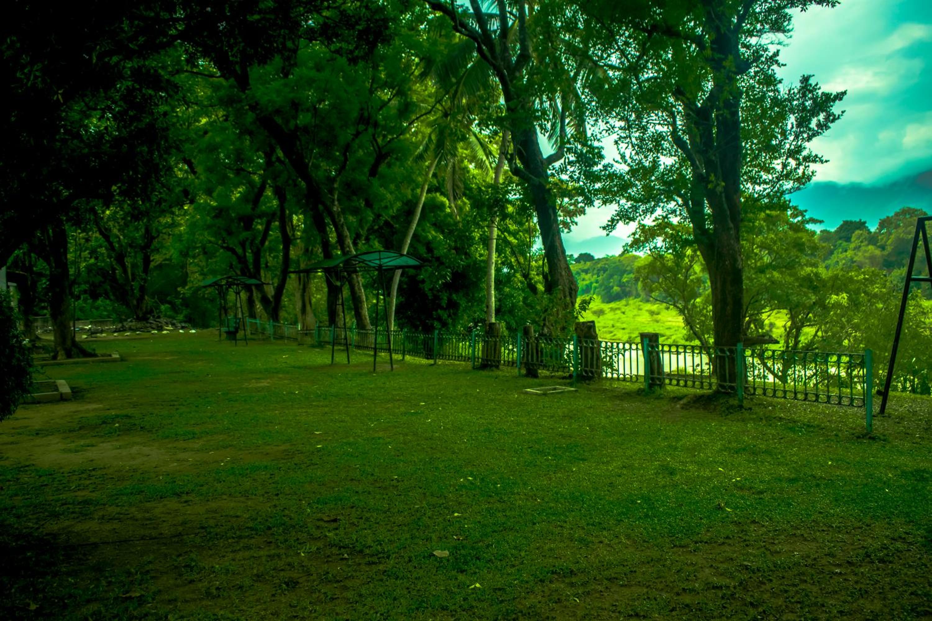 Photo 25