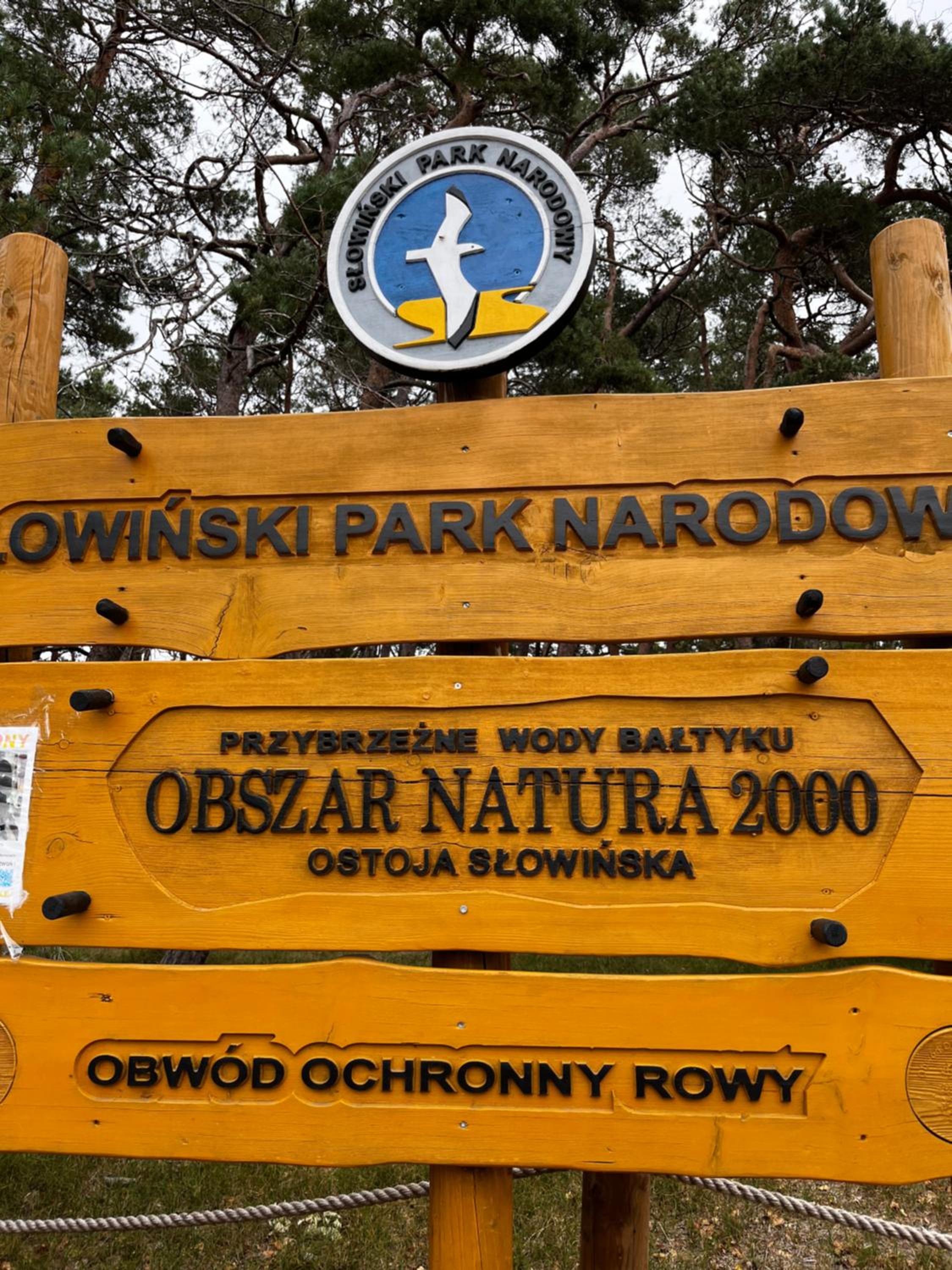 A&R Brzozowa 5 view 2