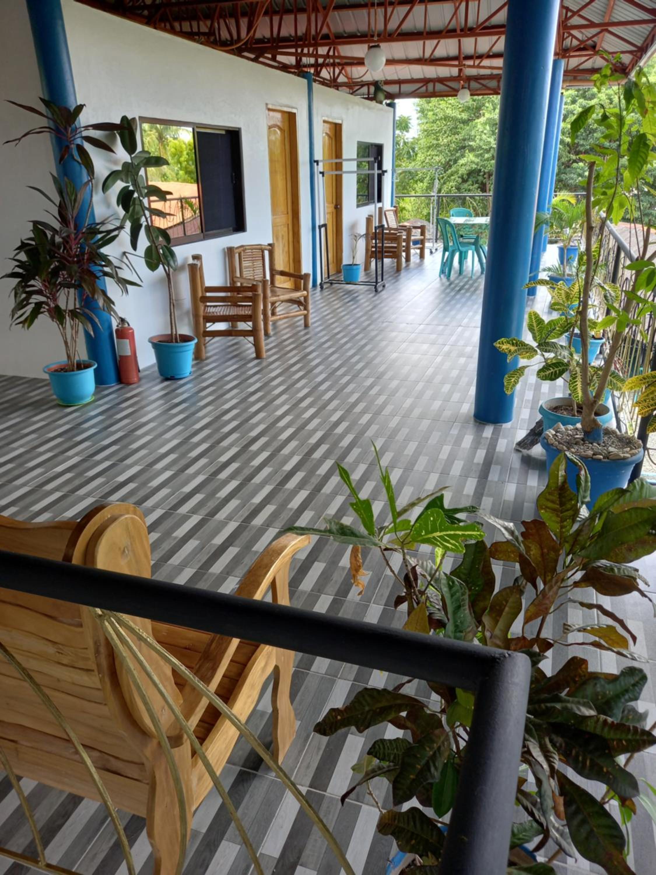 Happy bear moalboal budget rooms