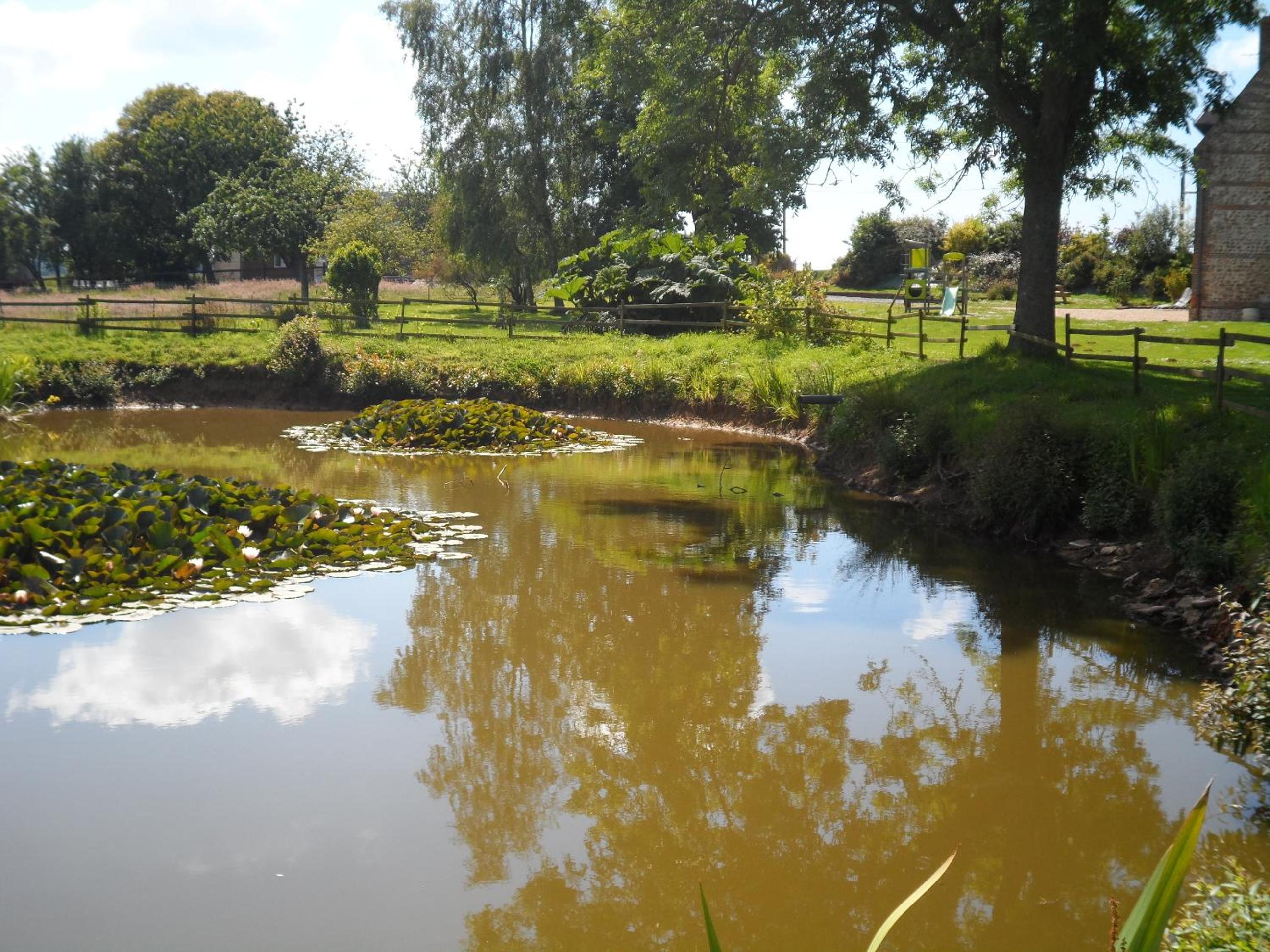 Photo 16