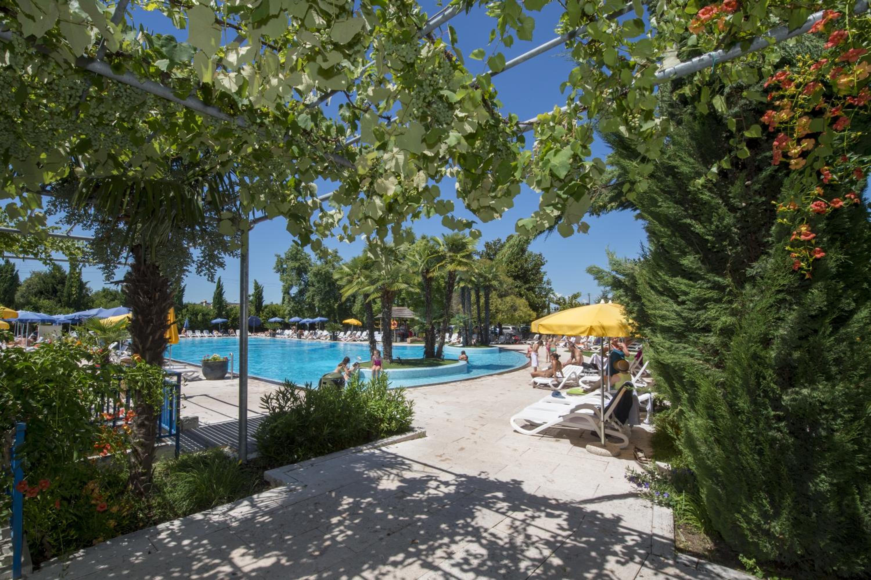 swimming pool