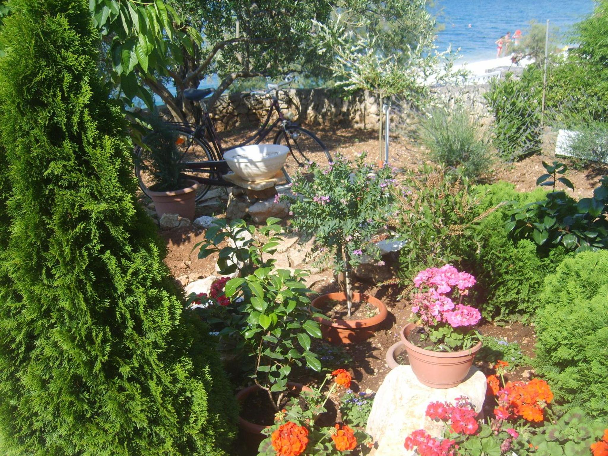 Photo 44