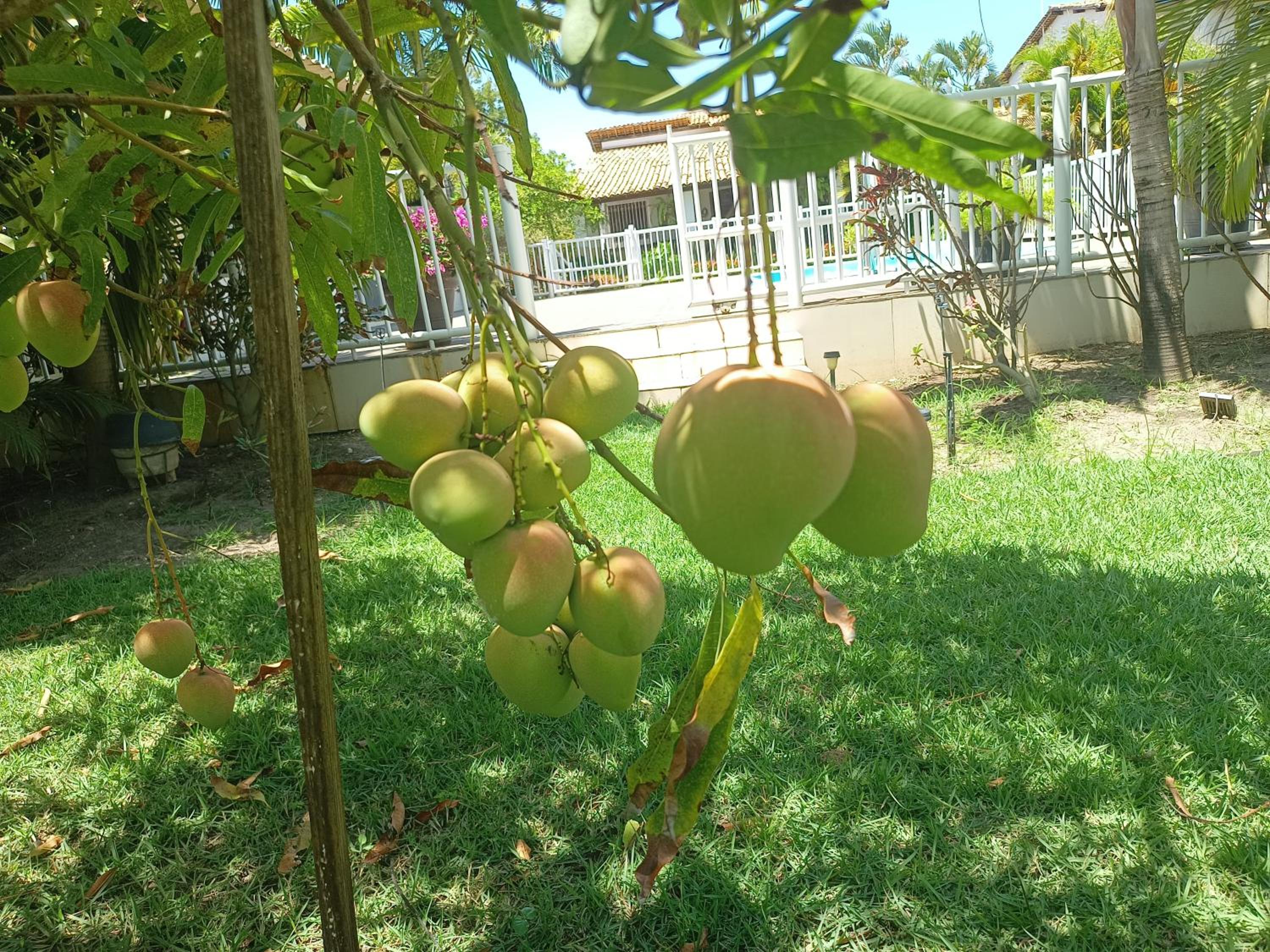 Casa Girassol FG