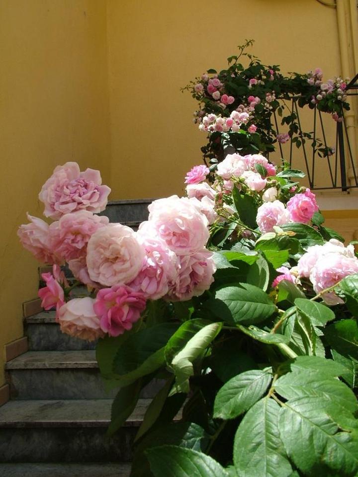 Photo 65
