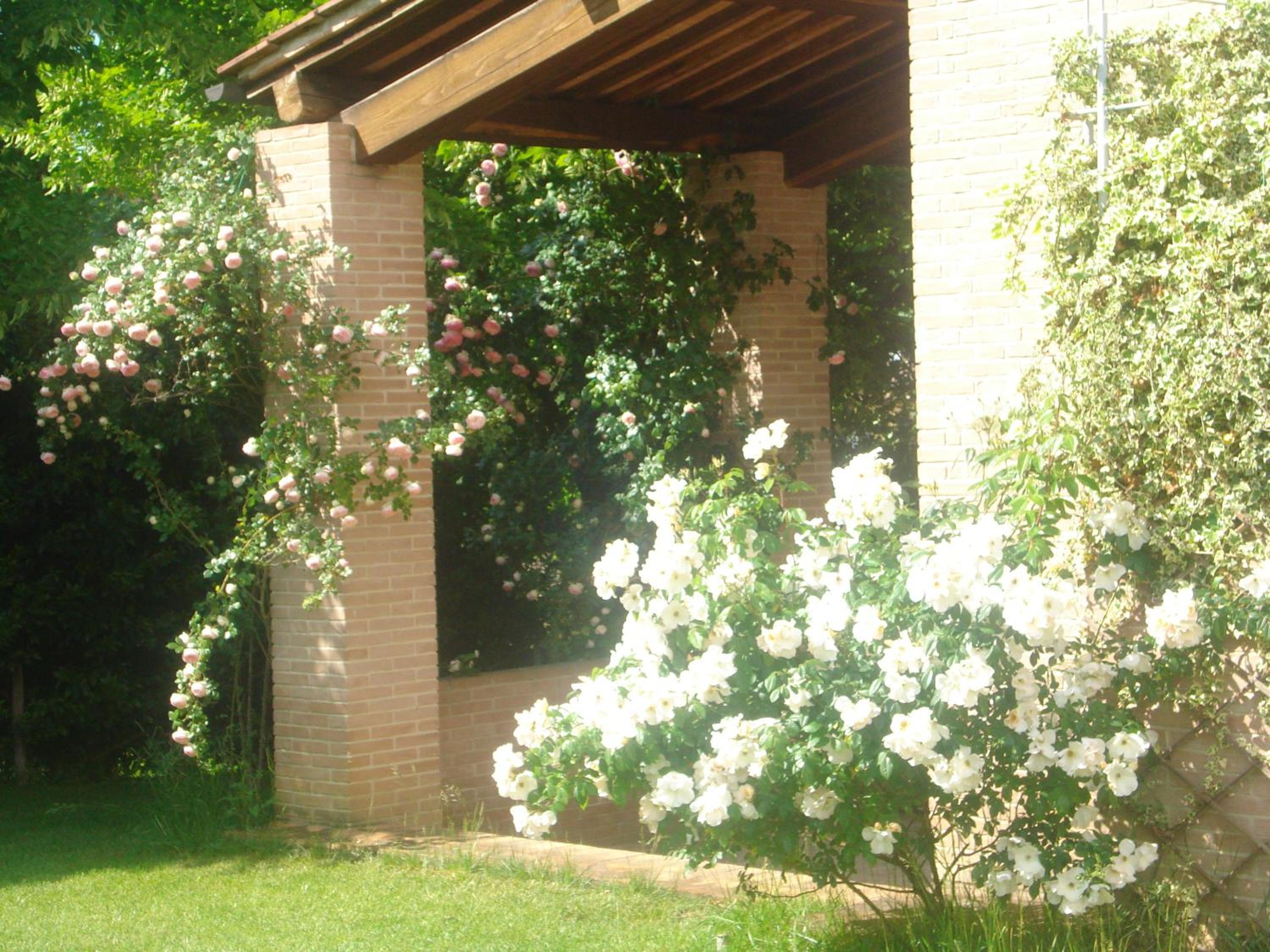 La Vigna Apartment view 2