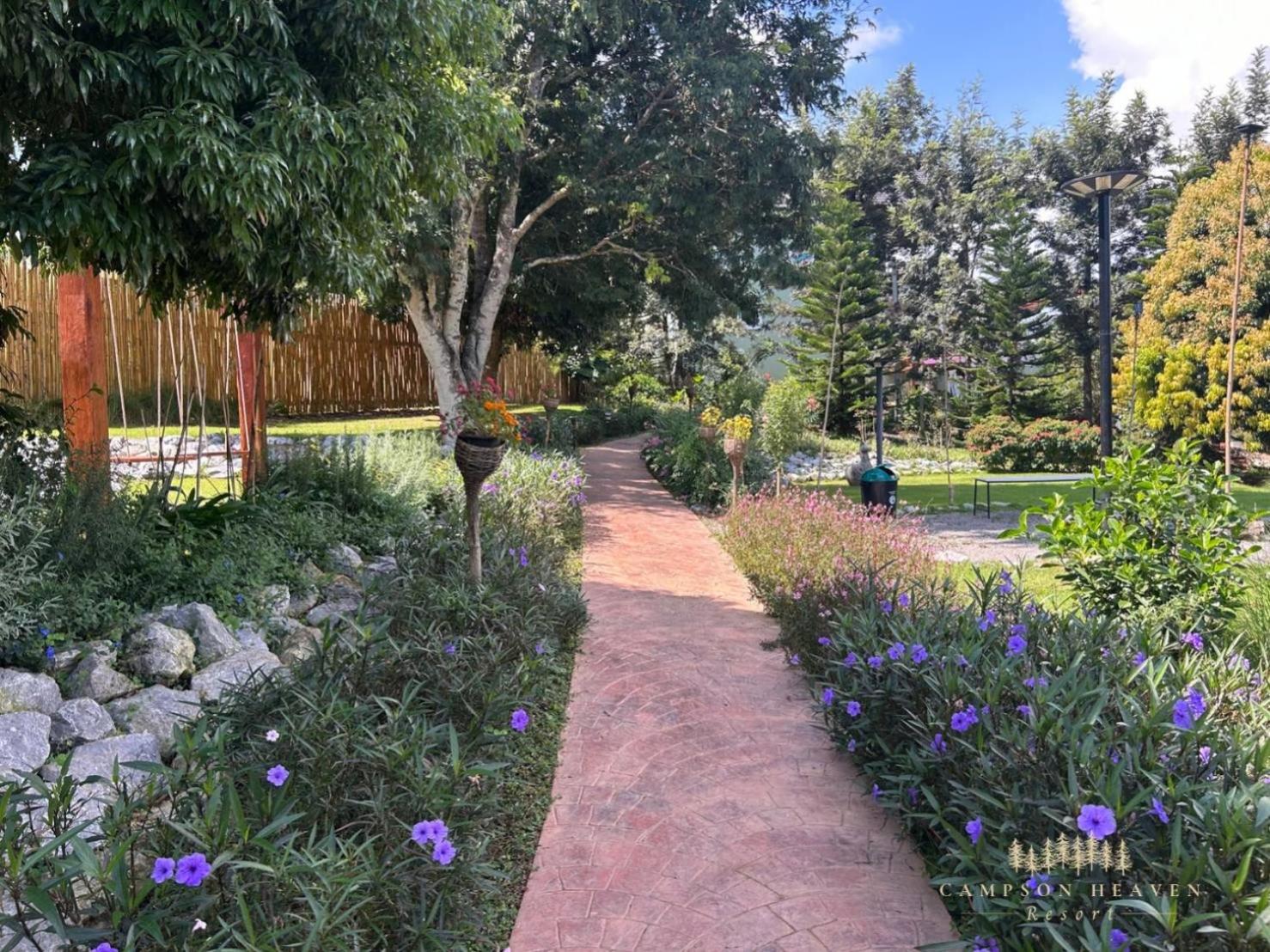 garden